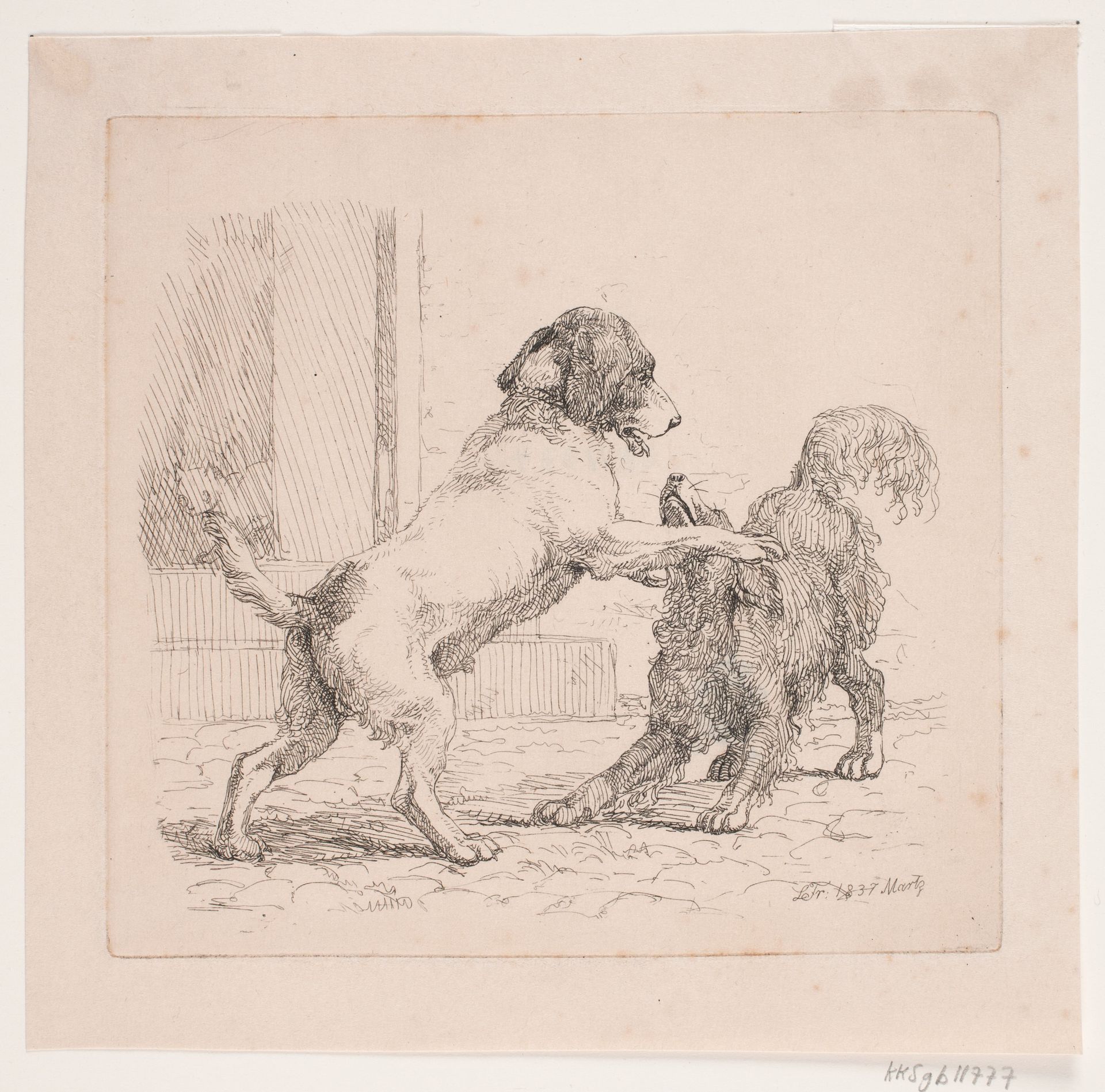 To legende hunde by Lorenz Frølich