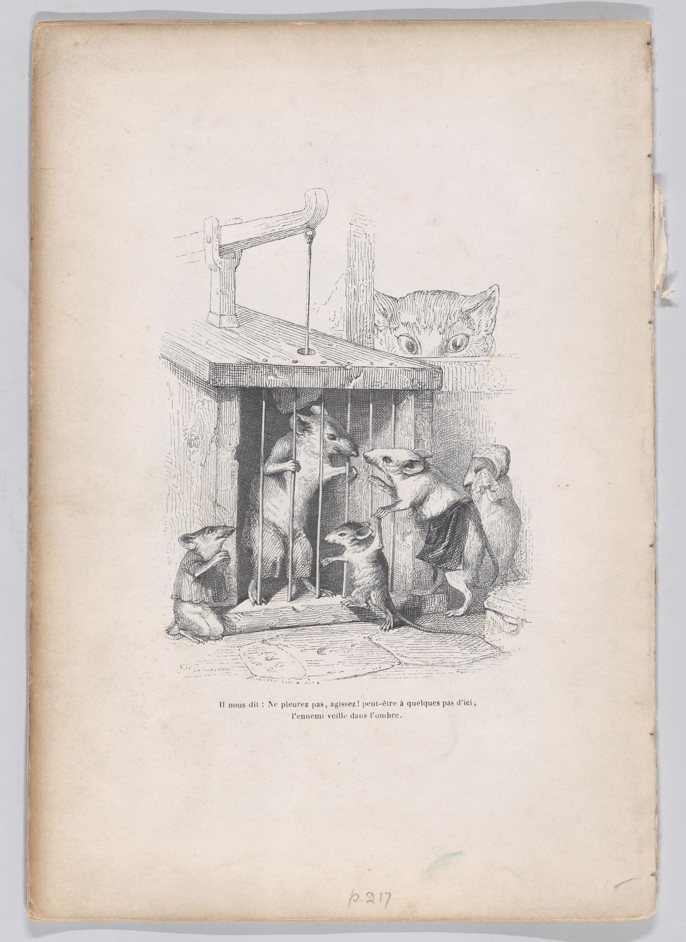 "He tells us: don't cry, Act!" from Scenes from the Private and Public Life of Animals by J. J. Grandville