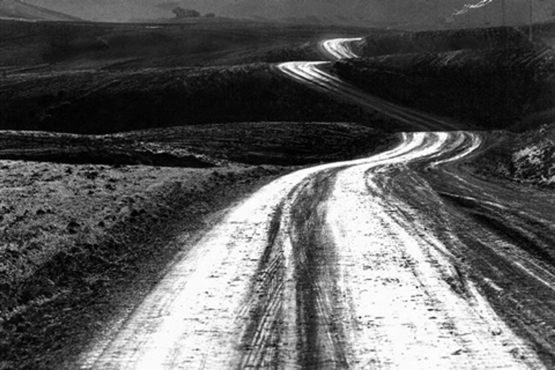 Roads and Trees - Abbas Kiarostami | Artera | AskArtera