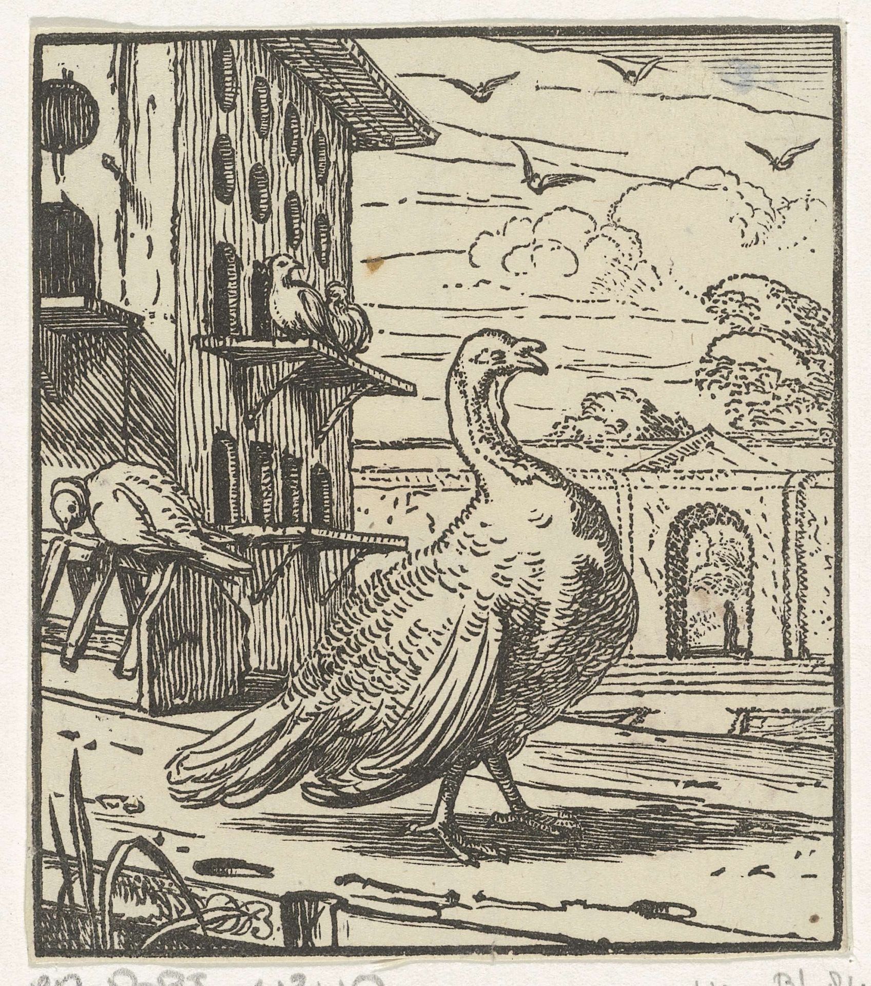 Kalkoen by Dirck de Bray