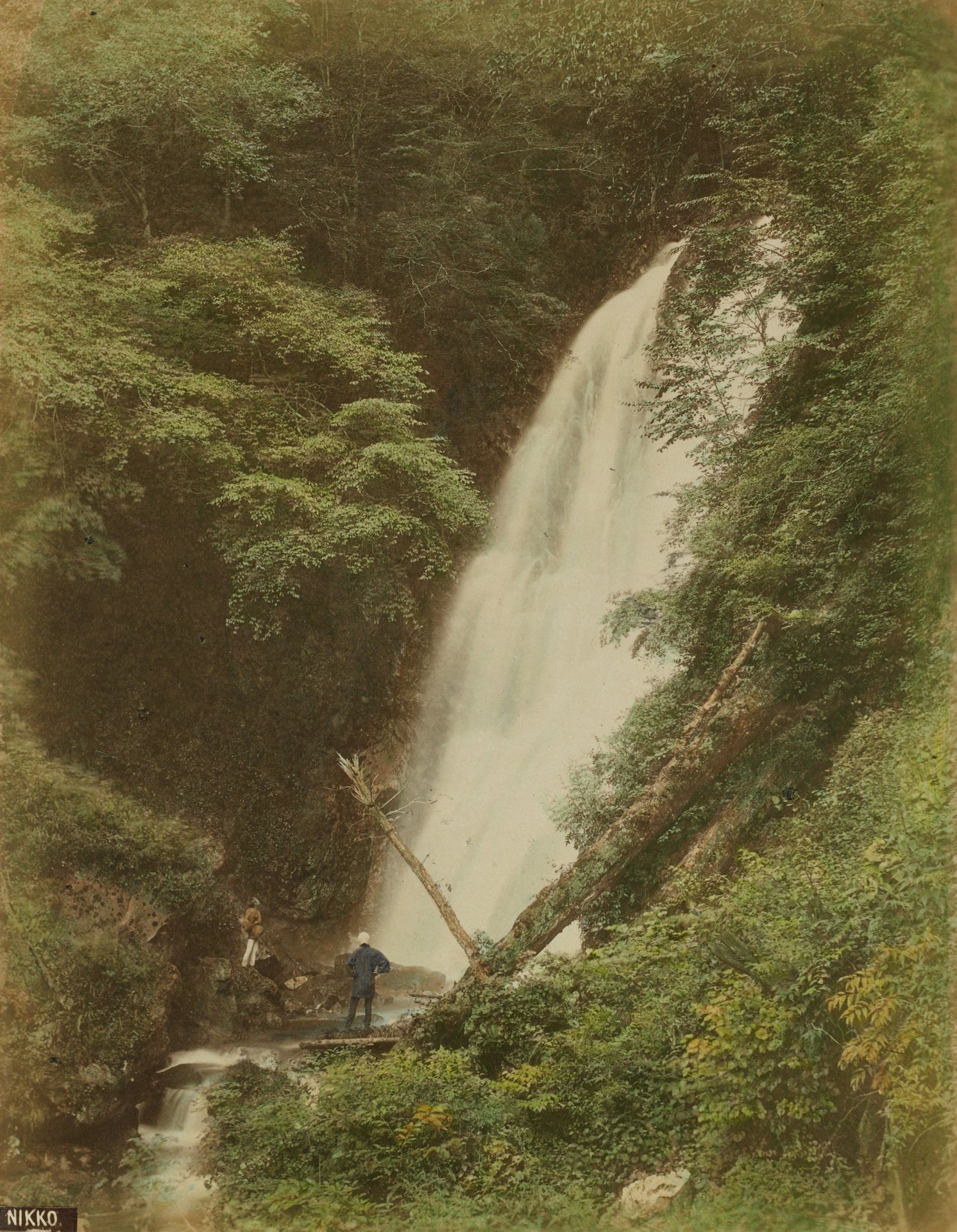 Nikko by Tamamura K.
