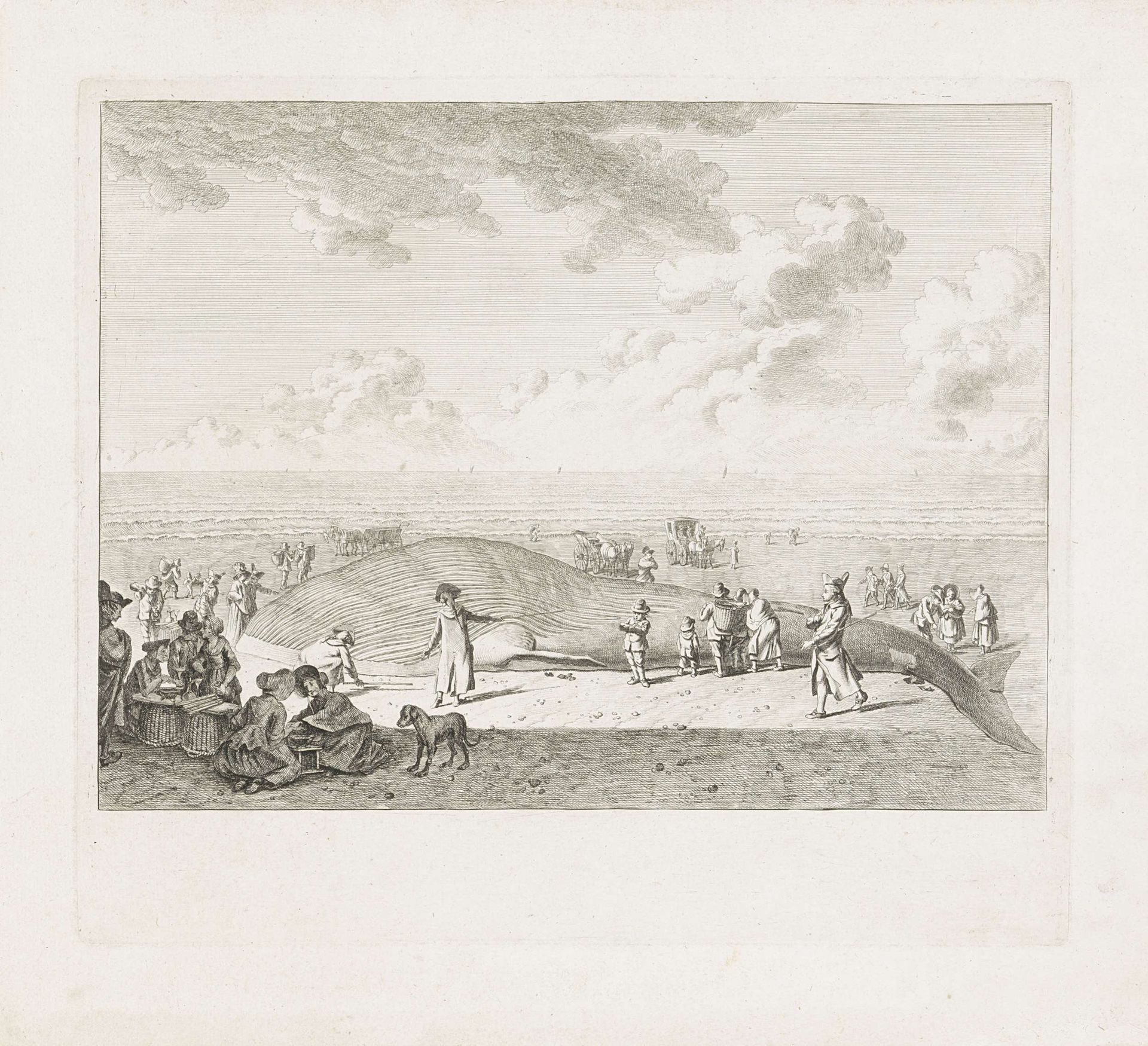 Vinvis gestrand bij Wijk aan Zee, 1791 by Leendert Overbeek