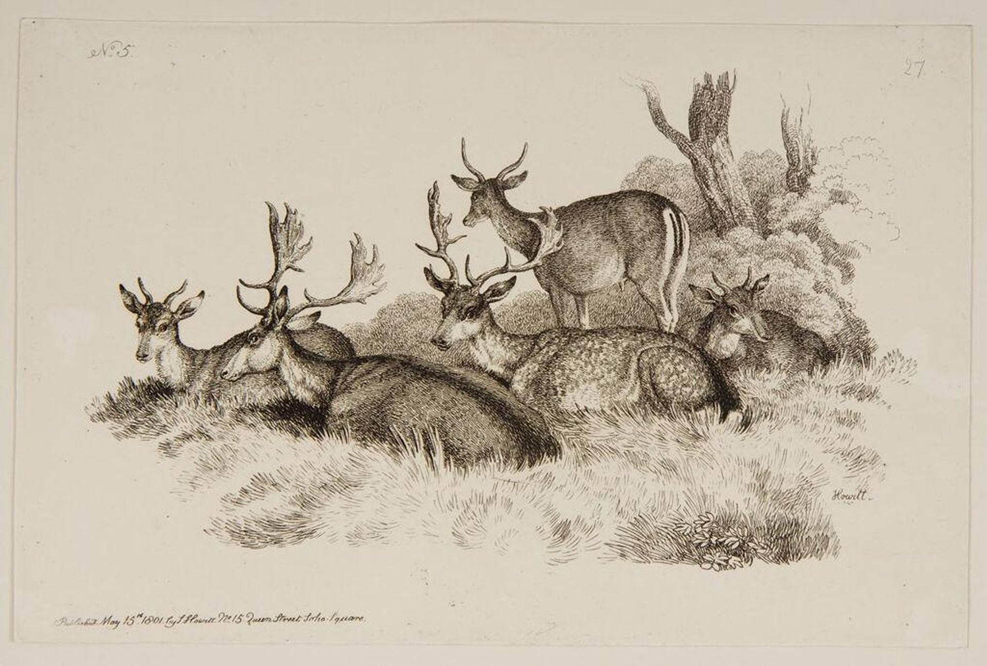 Five Deer in a Field by Samuel Howitt