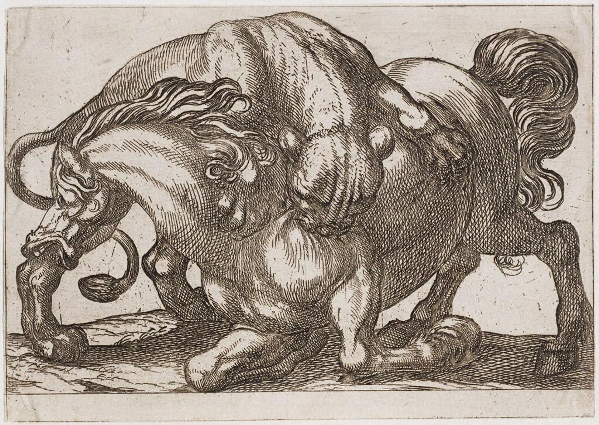 A Lion Attacking a Horse by Antonio Tempesta