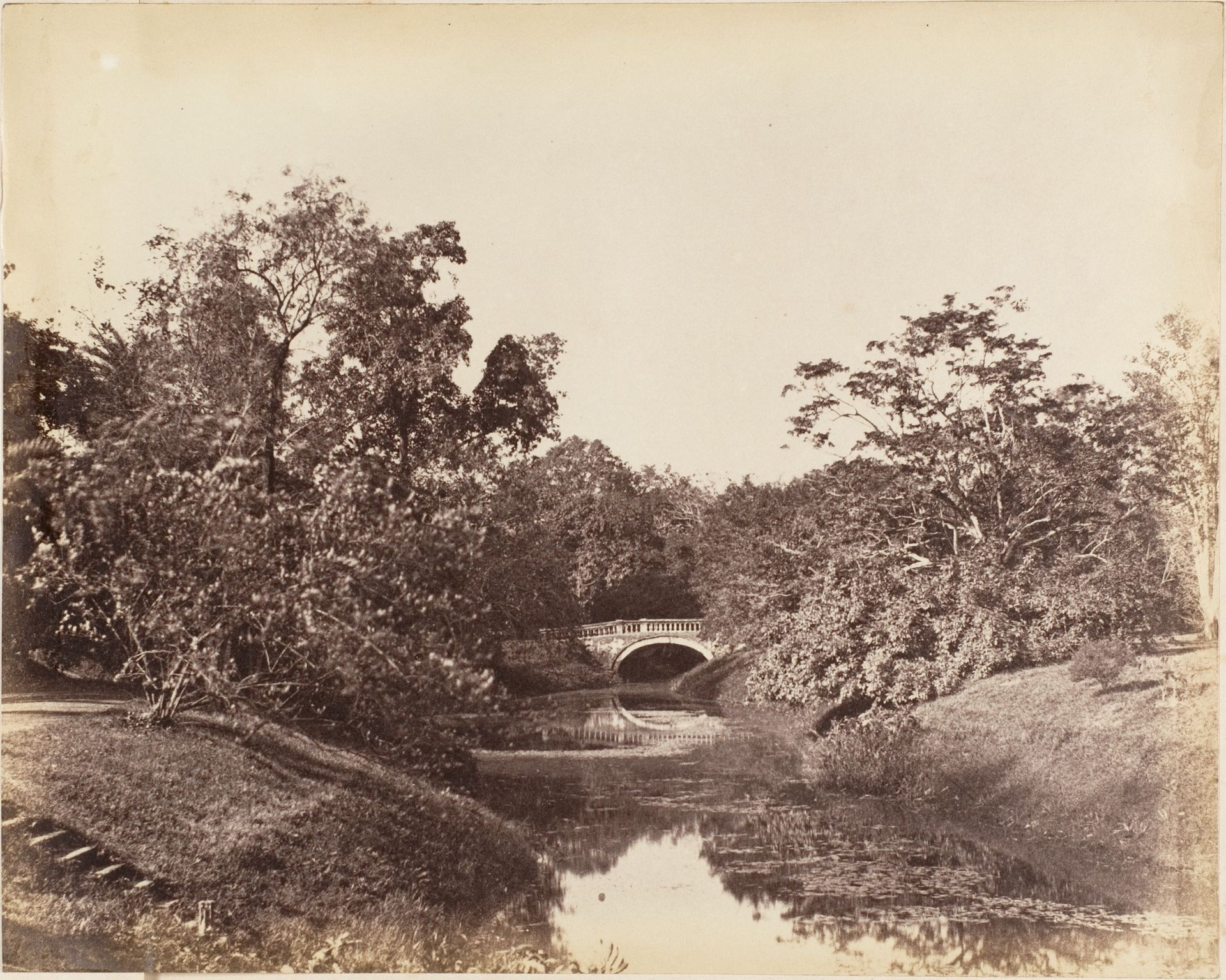 [Botanical Gardens, Calcutta] by Captain R. B. Hill