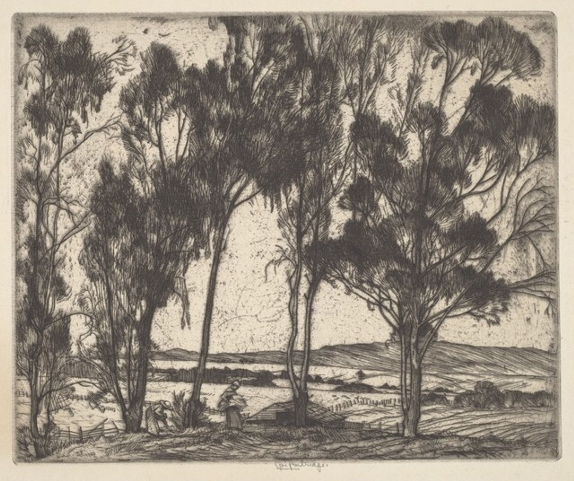 Al Bordo del Campo by Roi Partridge
