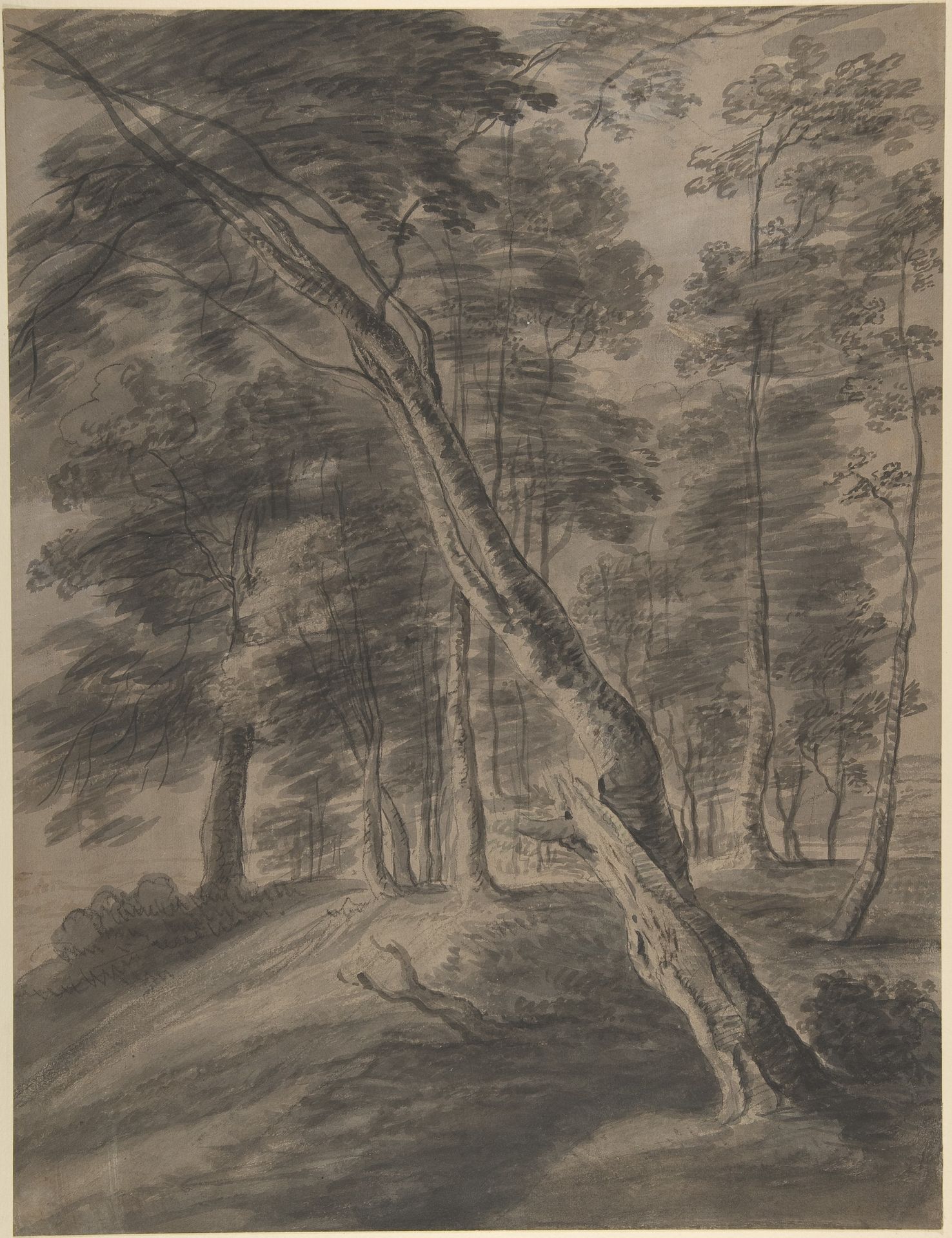 Forest Scene with Tree in Foreground by Jacques d'Artois
