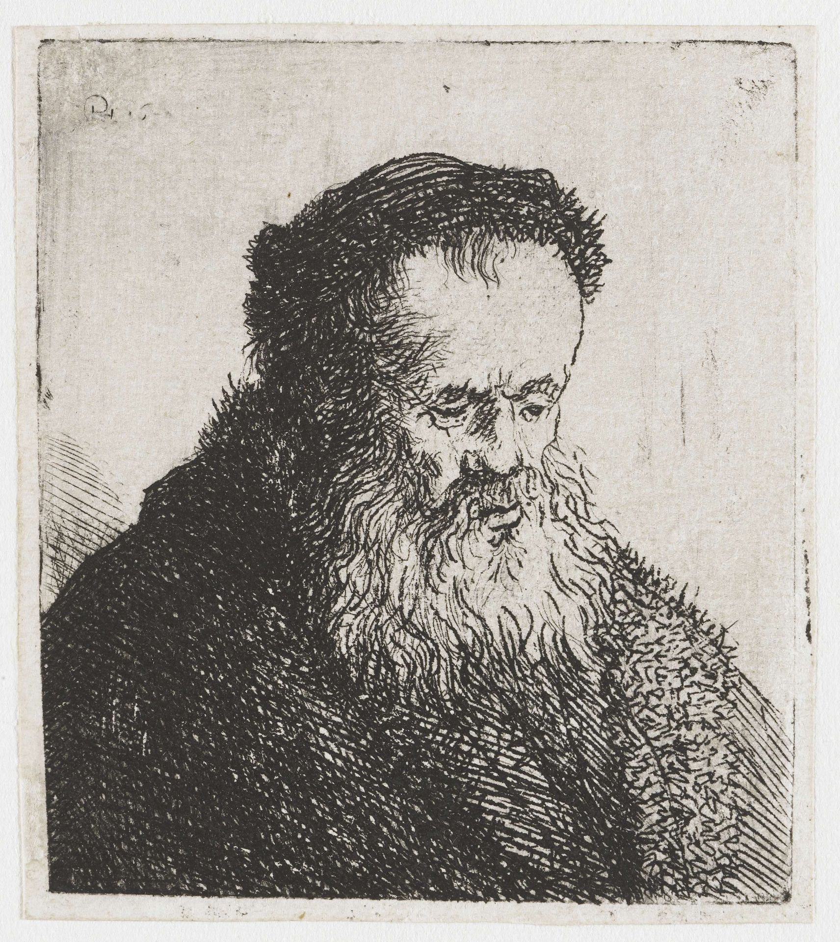 Bearded old man with high forehead by Rembrandt van Rijn