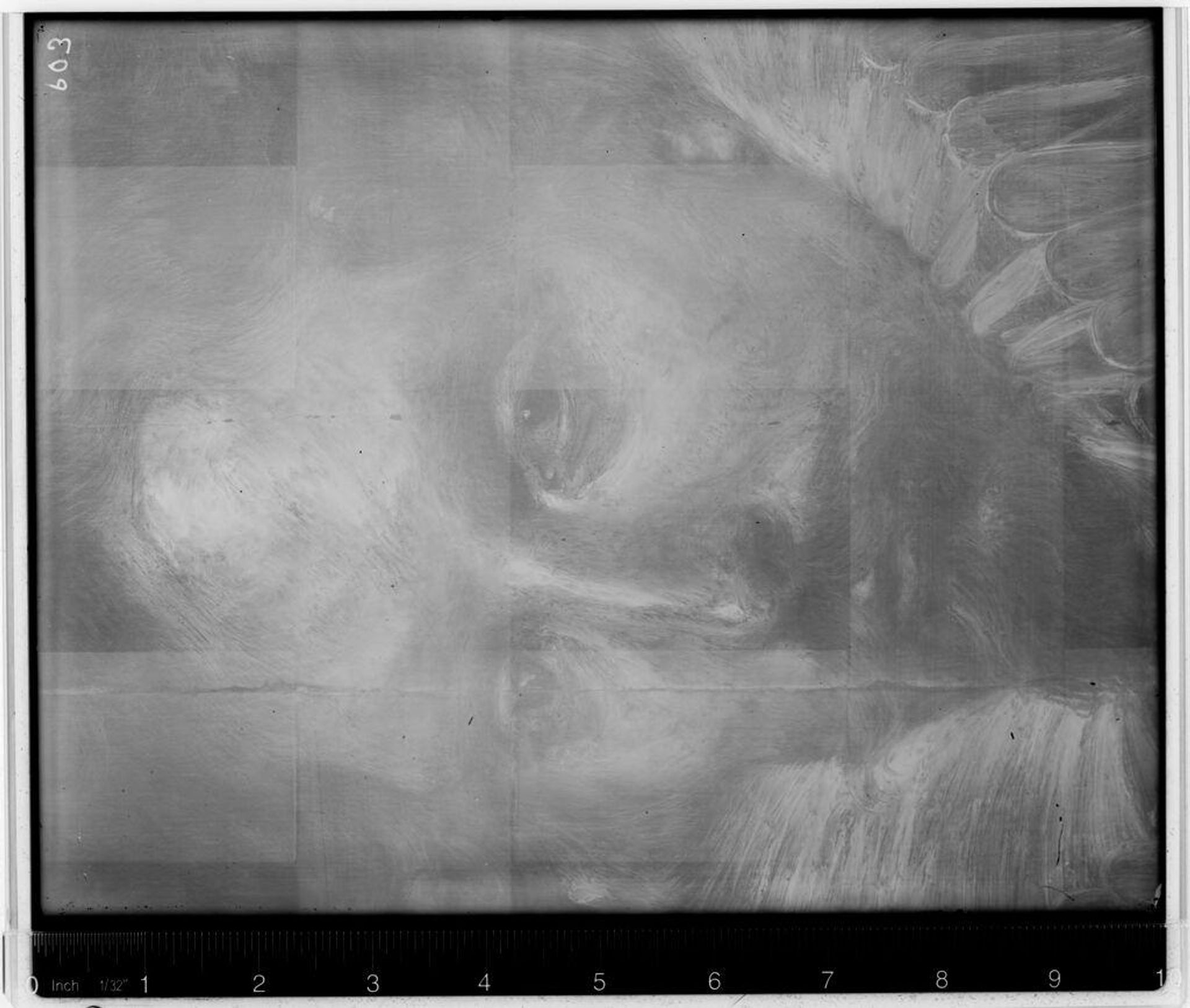 X-radiograph(s) of "Portrait of a Man" by Artist of original: Anthony van Dyck
