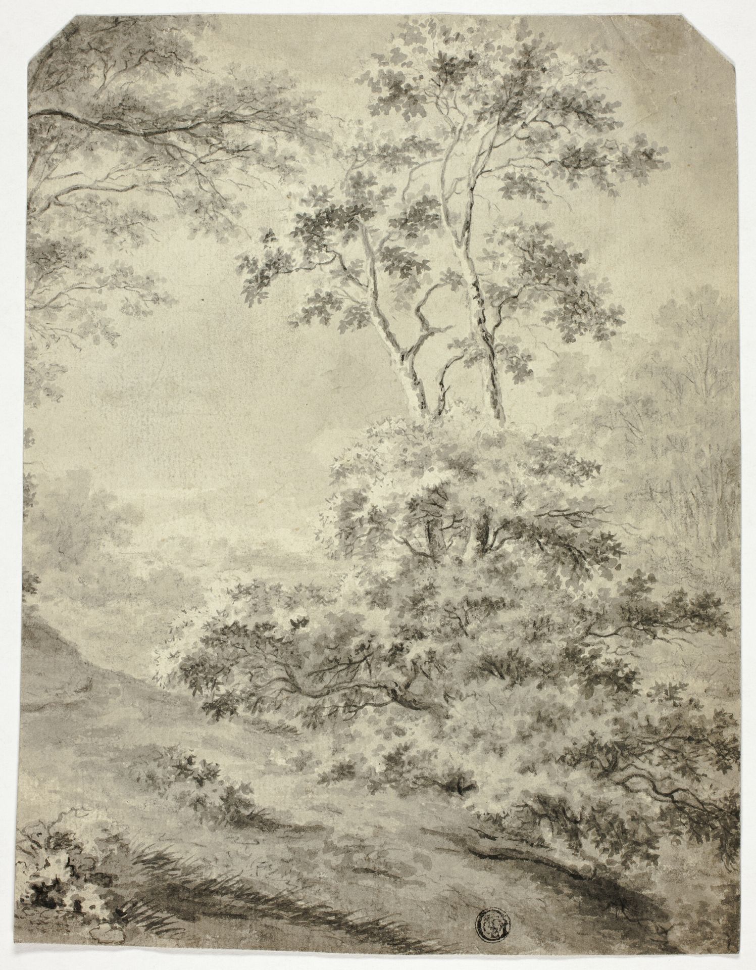 Forest Clearing by Anonymous