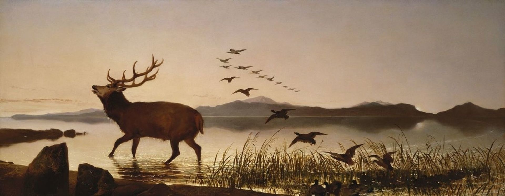 The Challenge by Edwin Henry Landseer