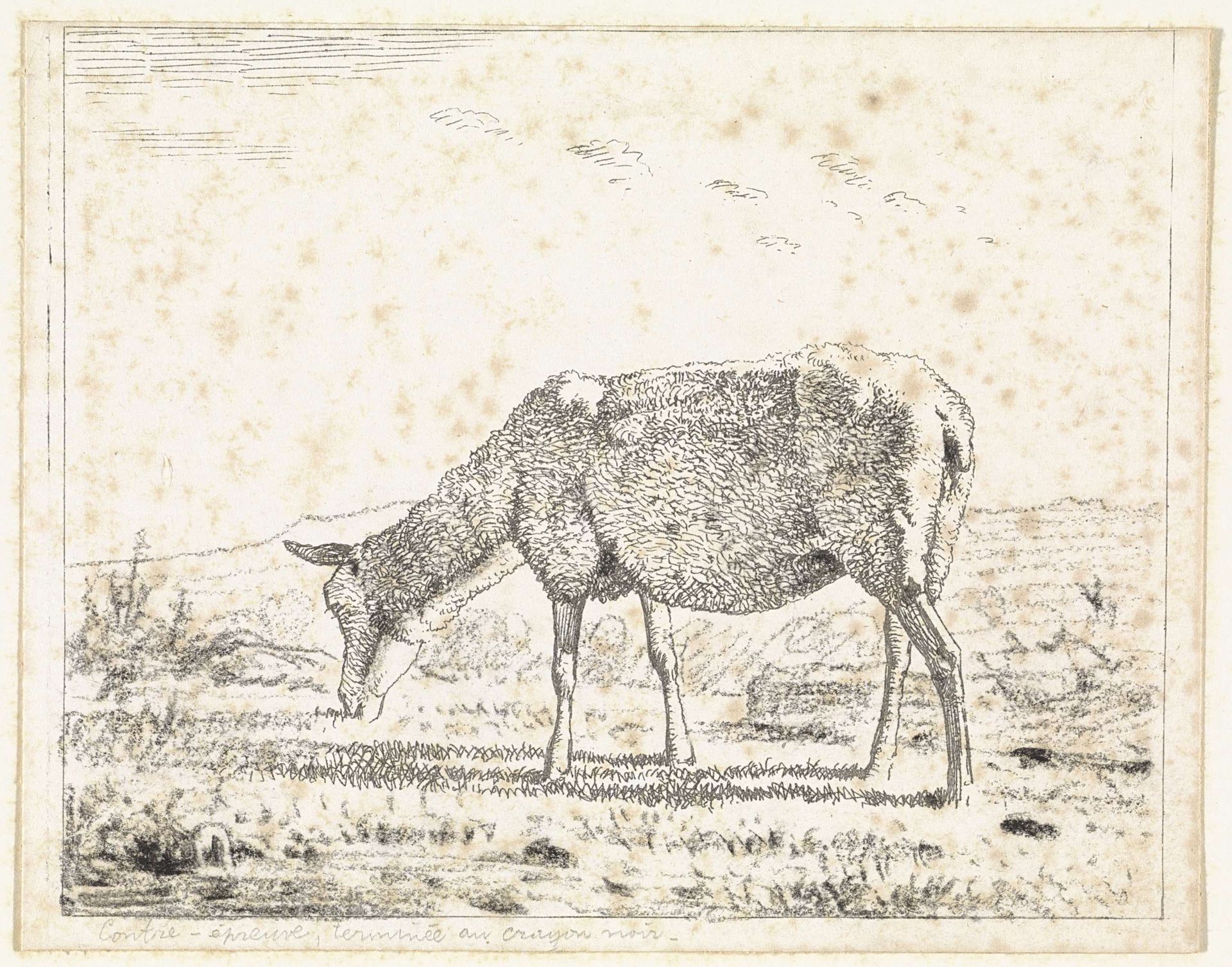 Schaap naar links by Wouter Johannes van Troostwijk