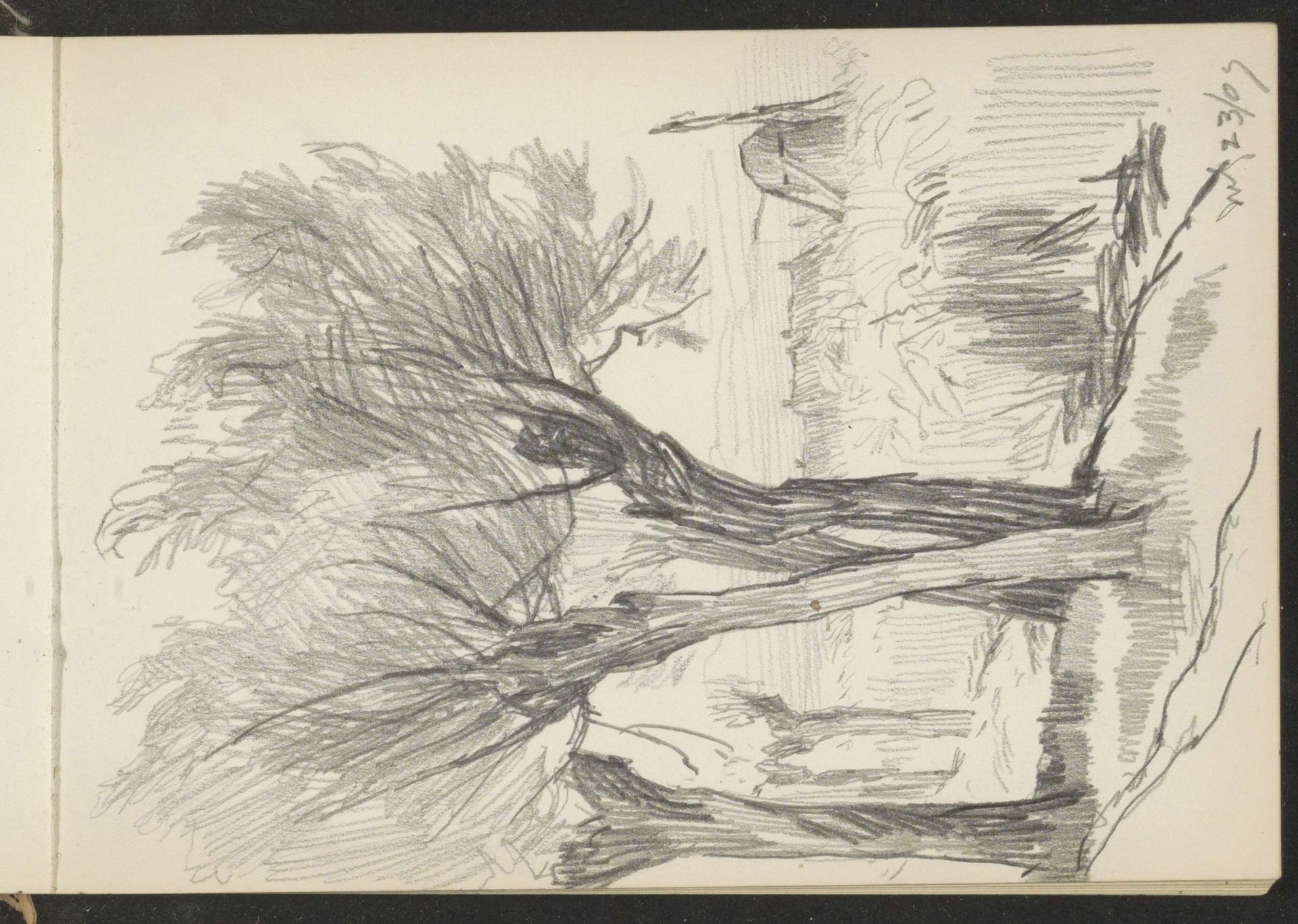 Wilgen langs een sloot by Alexander Shilling
