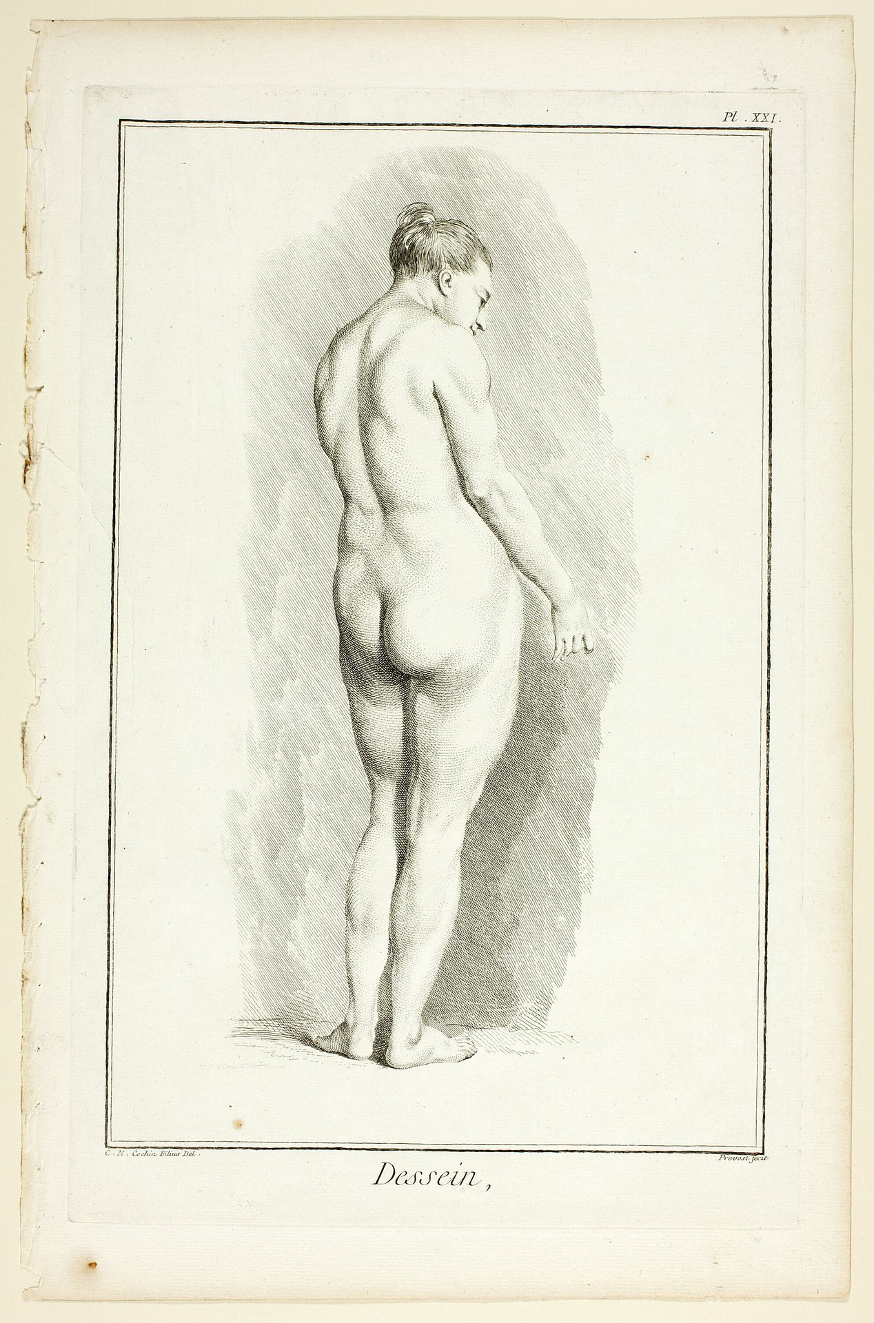 Design: Figure from Encyclopédie by Benoit Louis Prevost