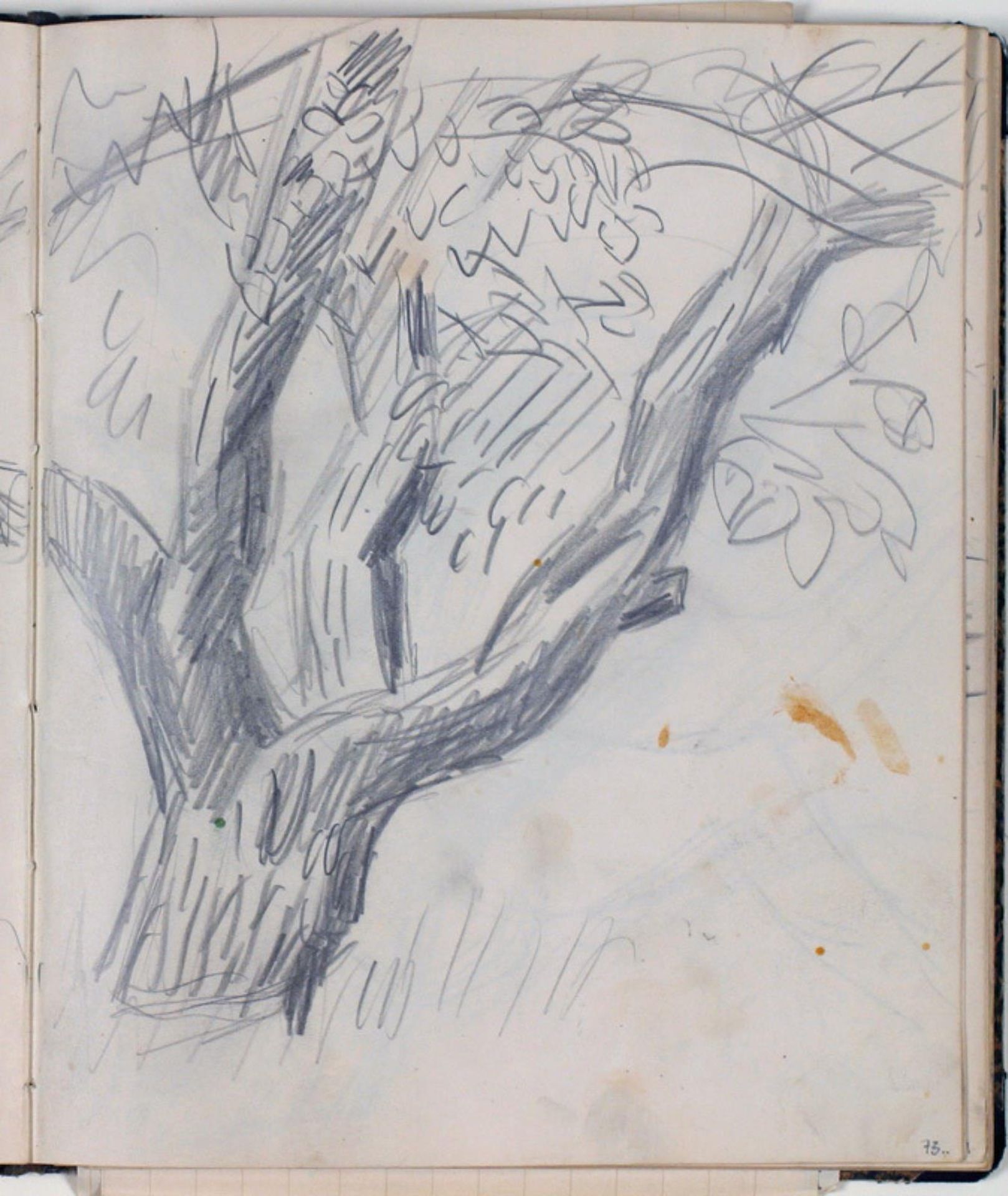 Studier af trækroner by Niels Larsen Stevns
