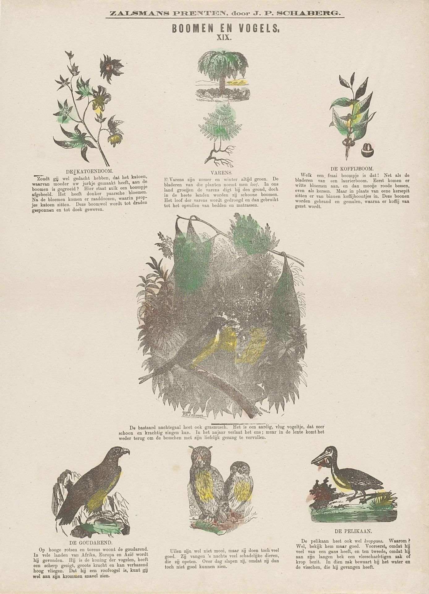 Boomen en vogels by William Henry Freeman