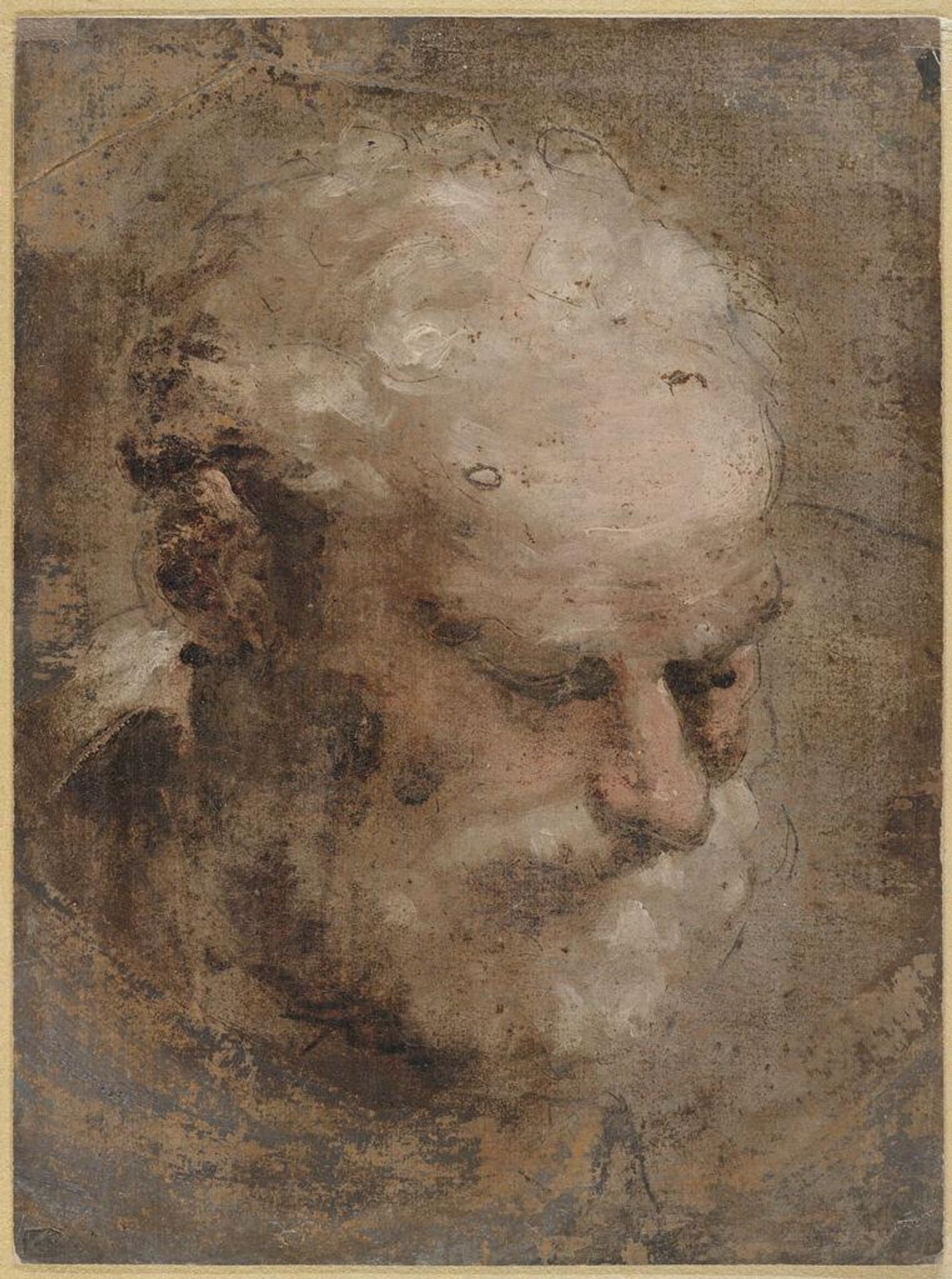 Head of an Old Man Turned Three-Quarters Right by Domenico Beccafumi