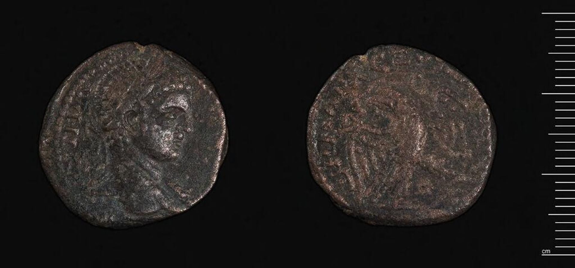 Coin of Antioch under Elagabalus by Elagabalus