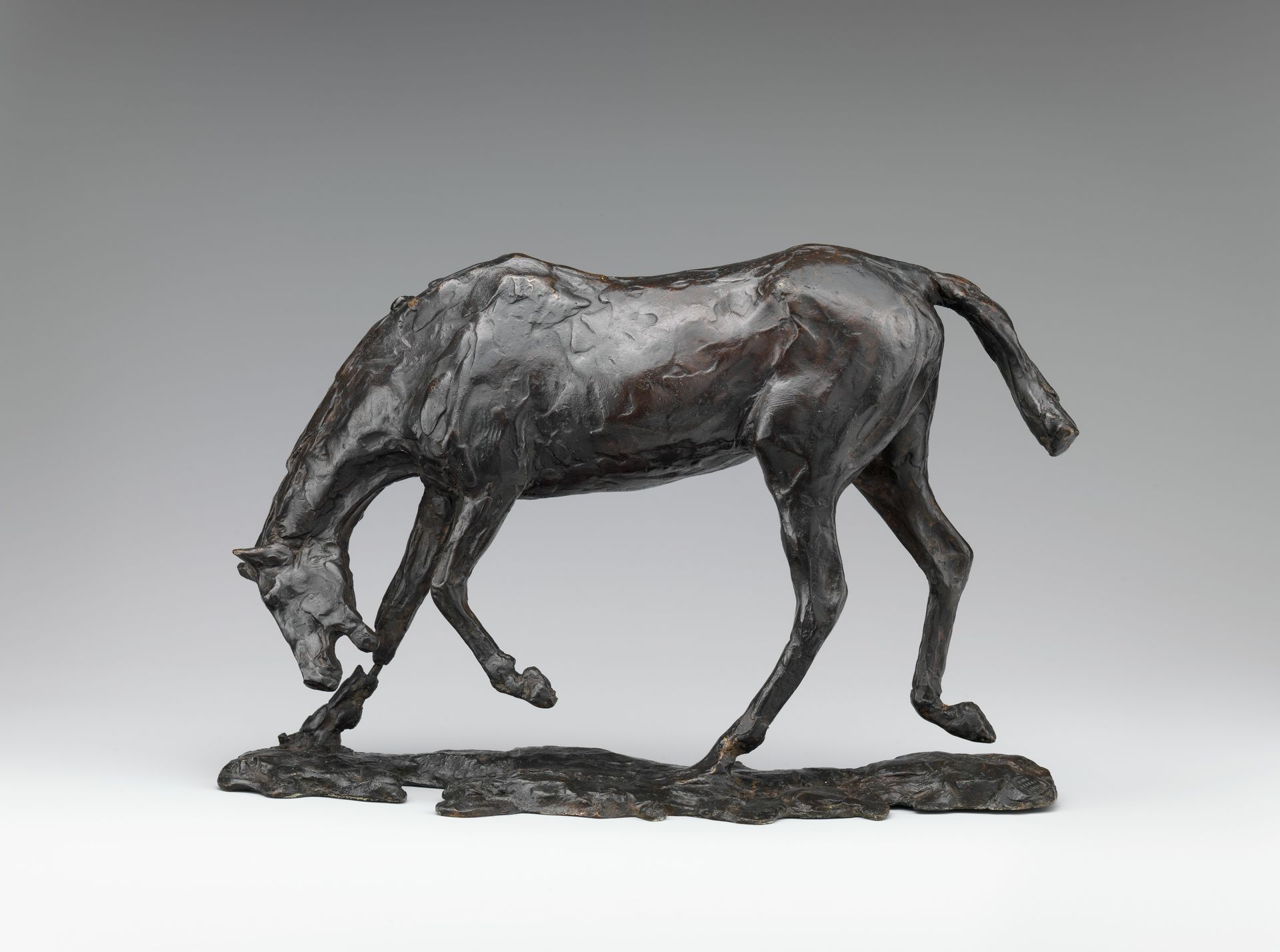 Horse with Head Lowered by Edgar Degas