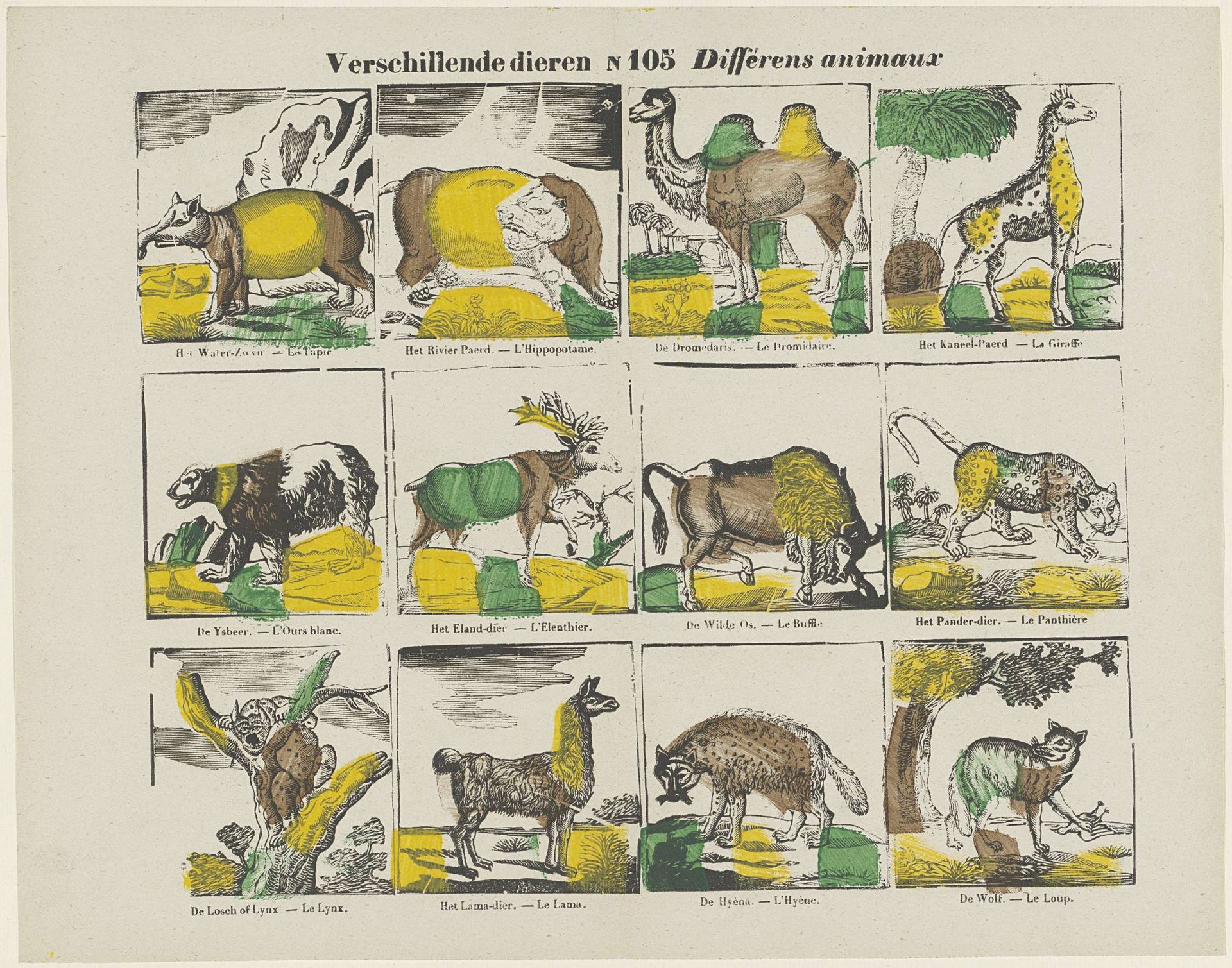 Verschillende dieren / Différens animaux by Glenisson & Zonen