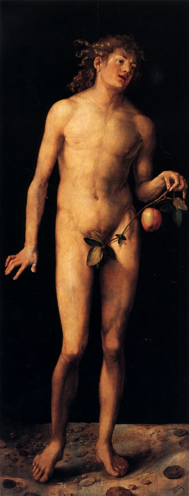 Adam (left panel) by Albrecht Durer