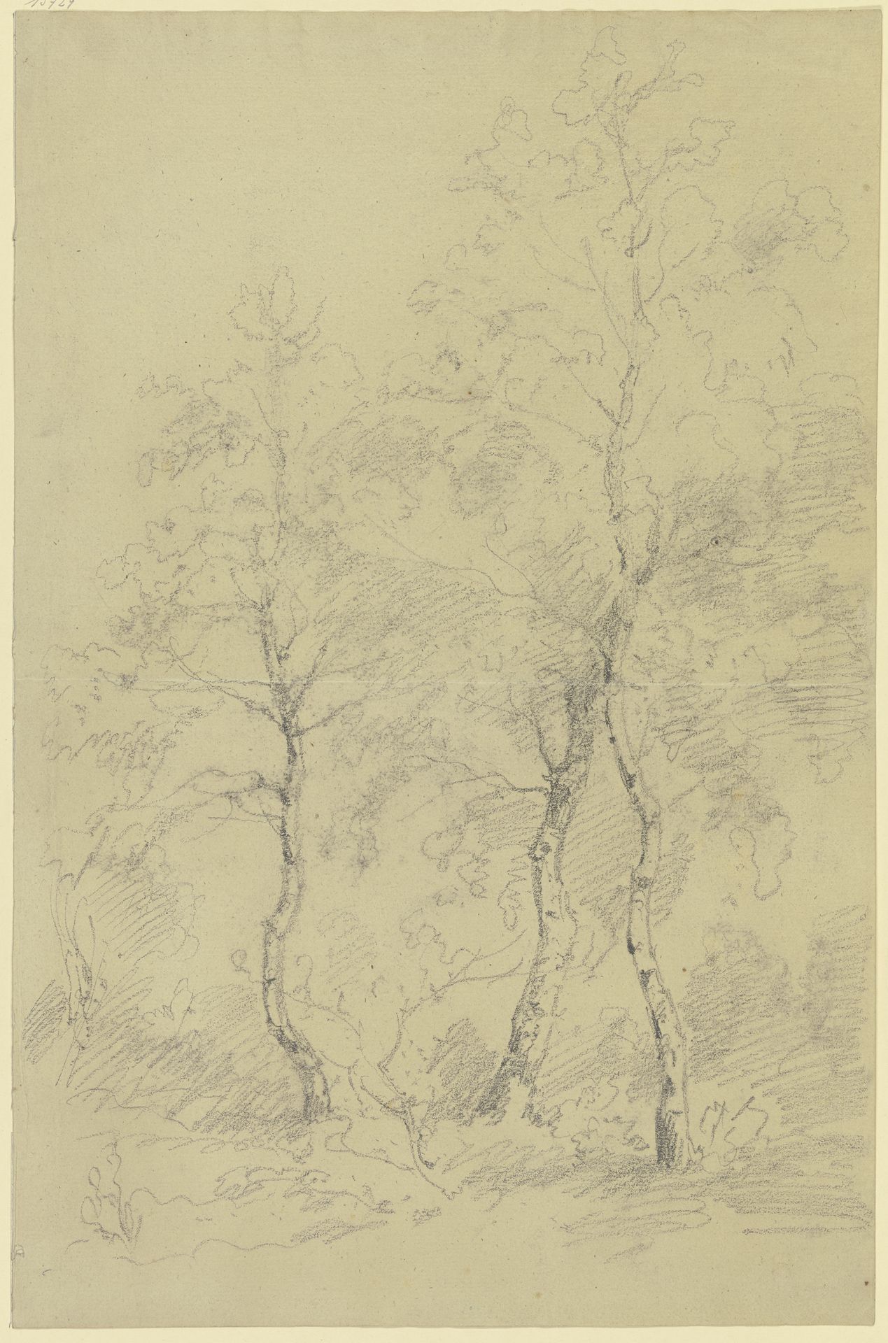 Three birch trees by Karl Peter Burnitz