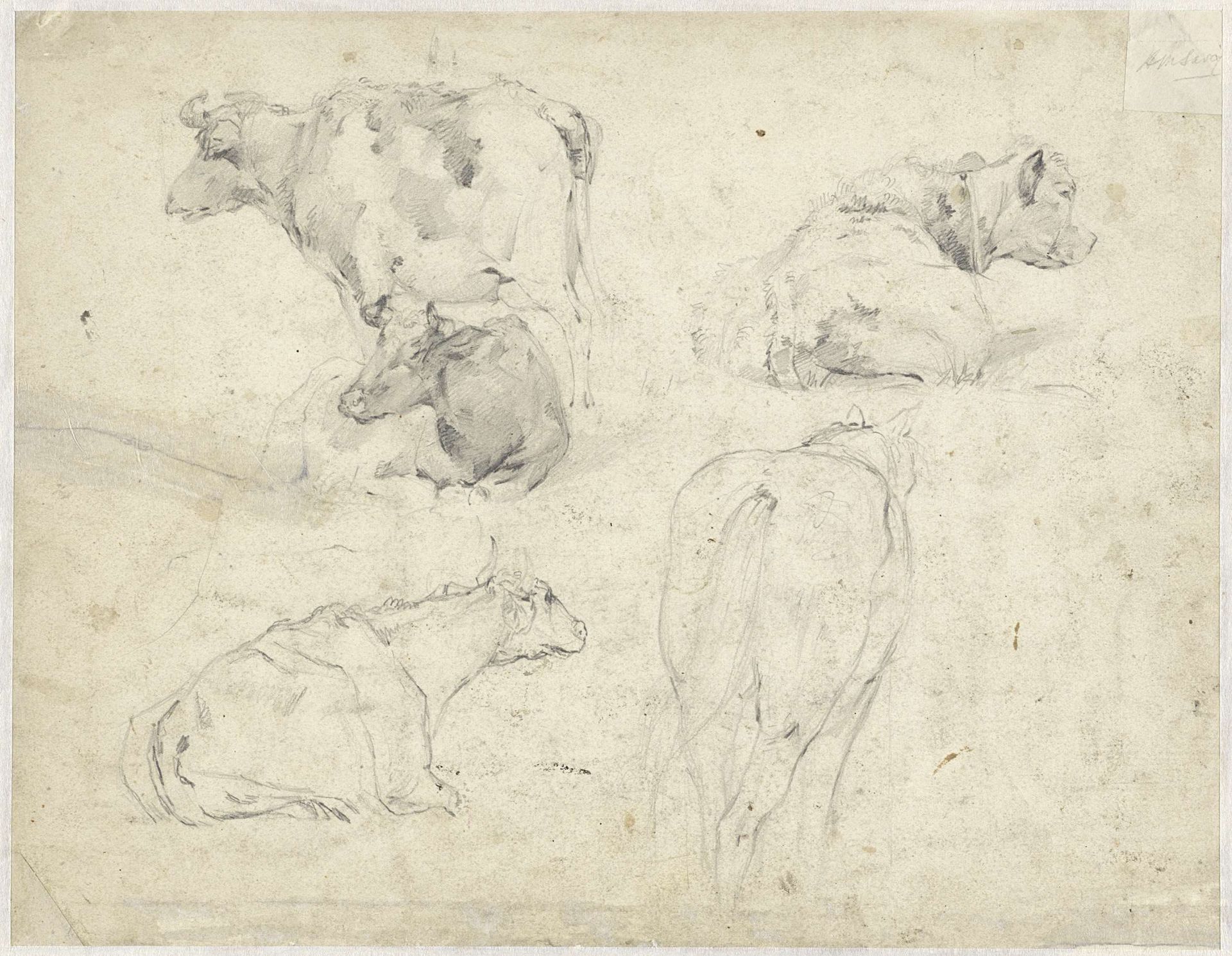 Studies van koeien en een paard by Hendrik Savrij