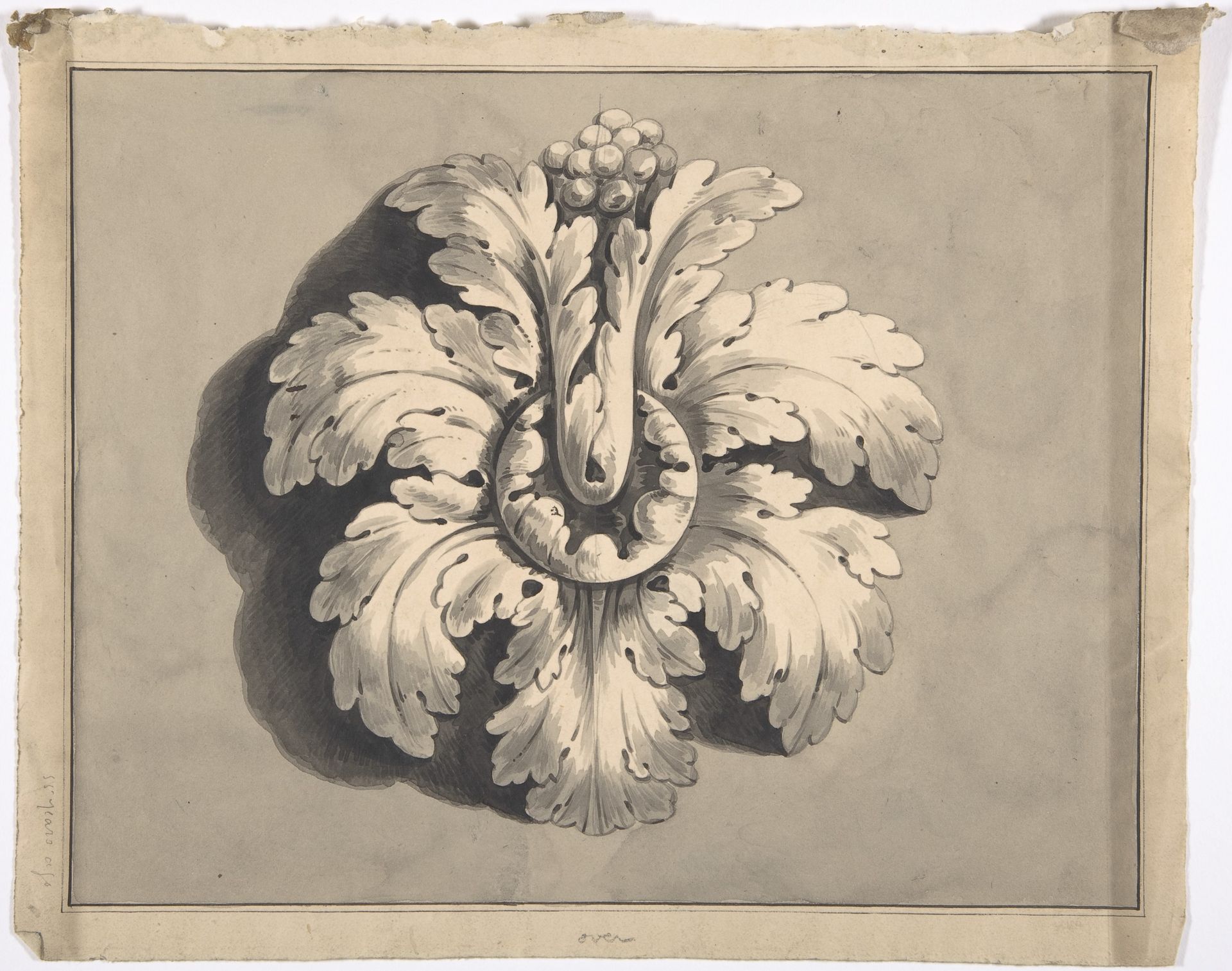 Design for a Boss Carved with Acanthus by Anonymous