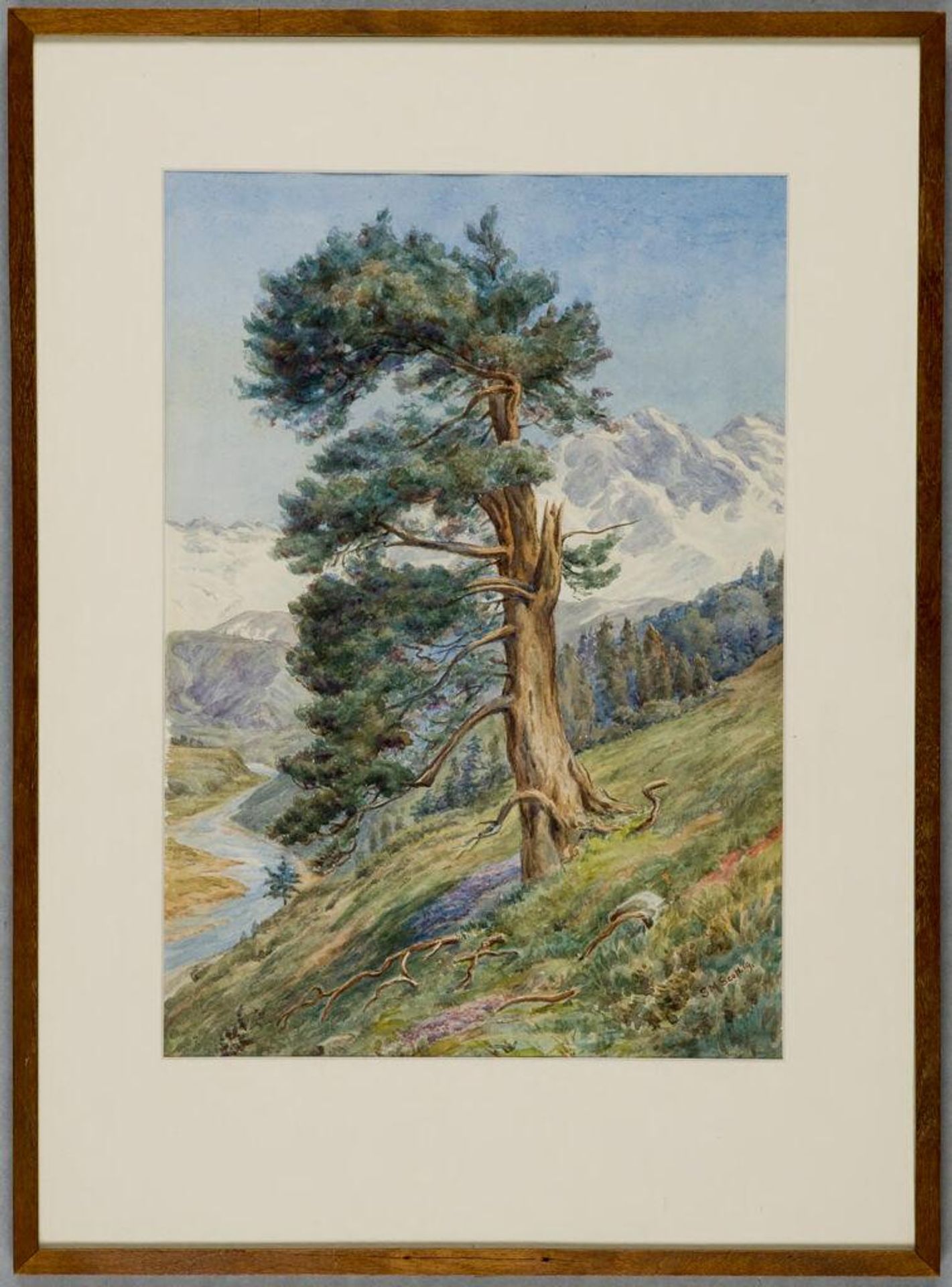 Tree by Samuel Scott