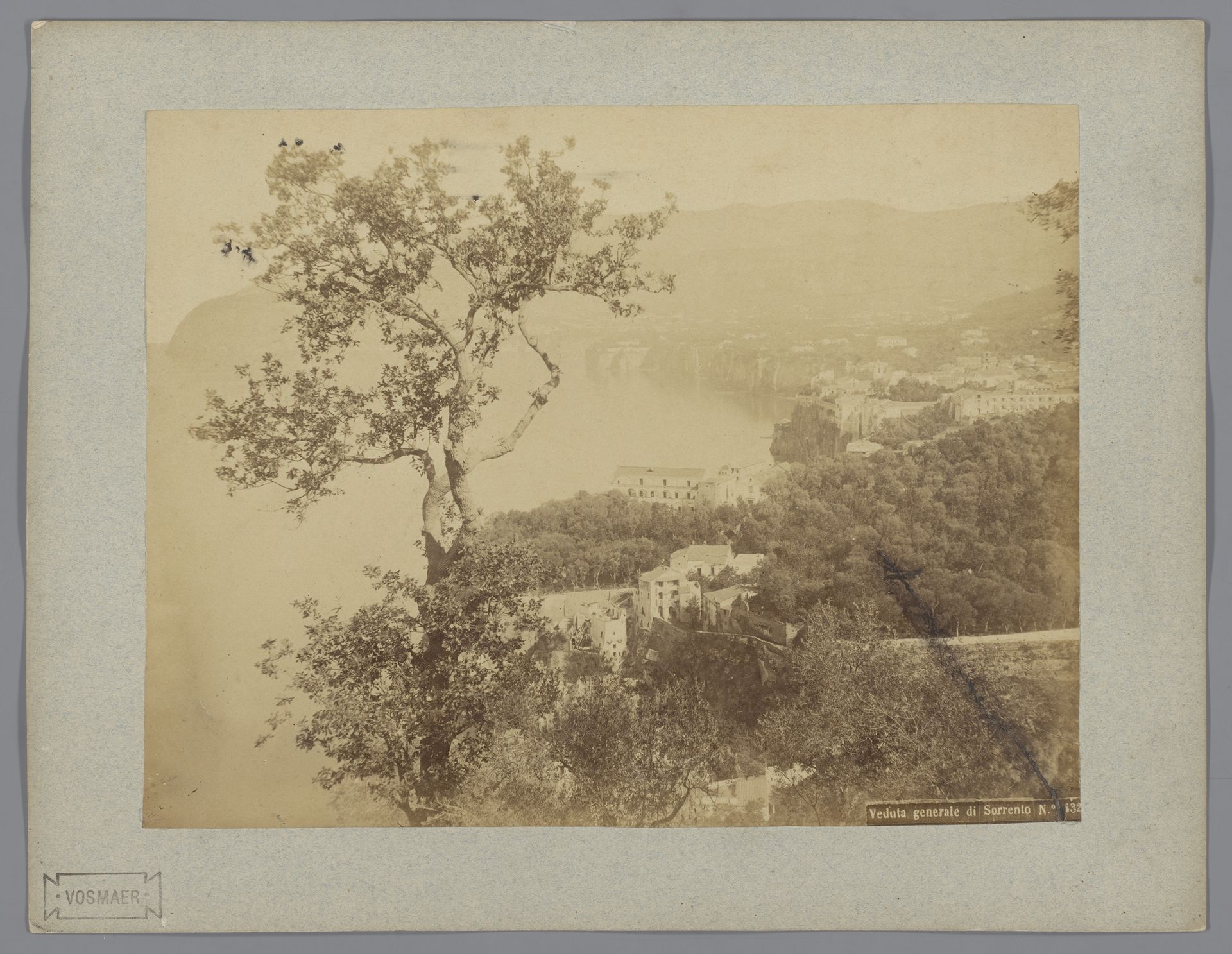 Gezicht op Sorrento en de baai van Napels, met boom op de voorgrond by Roberto Rive