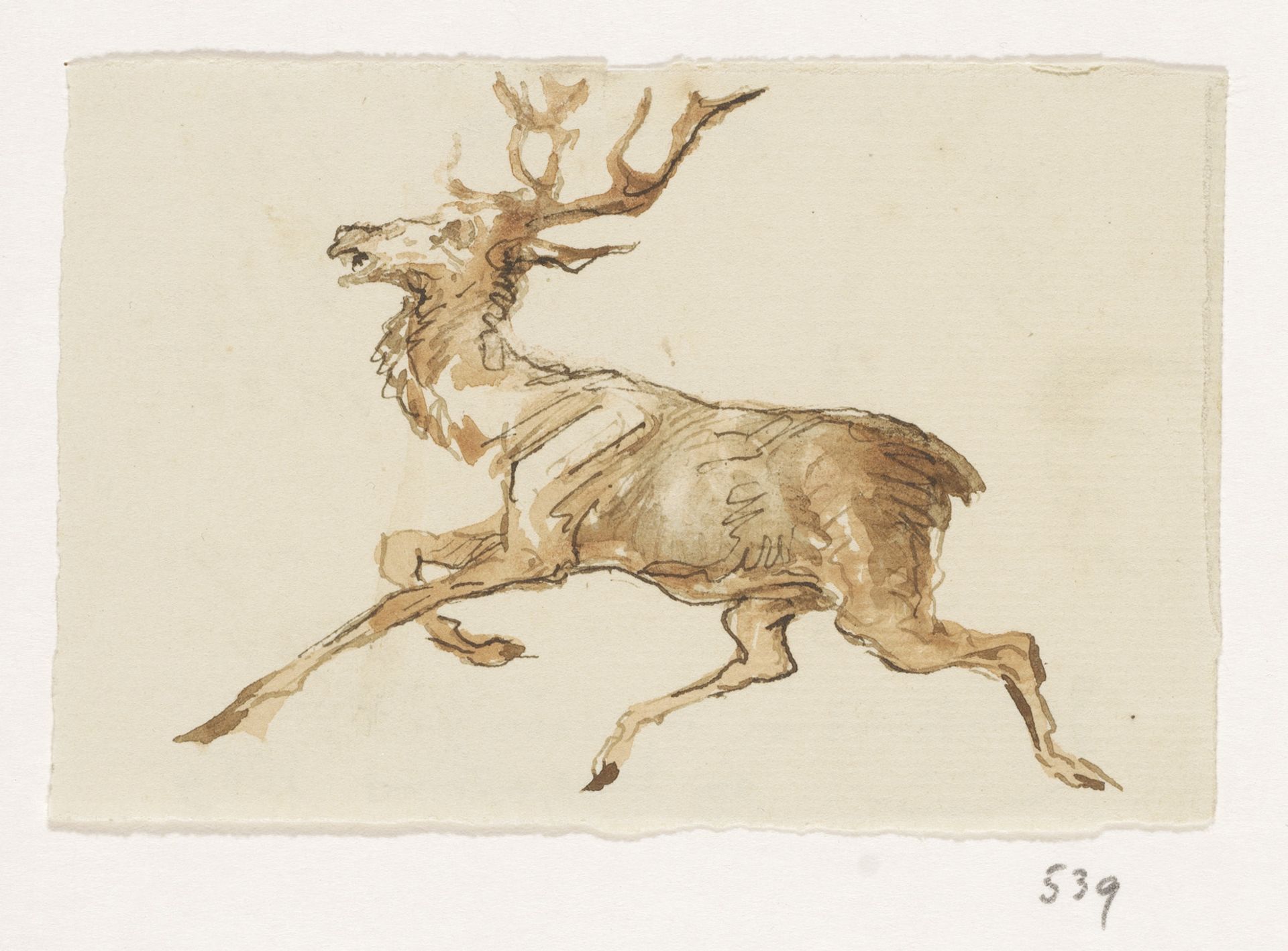 Hert by Johannes Tavenraat
