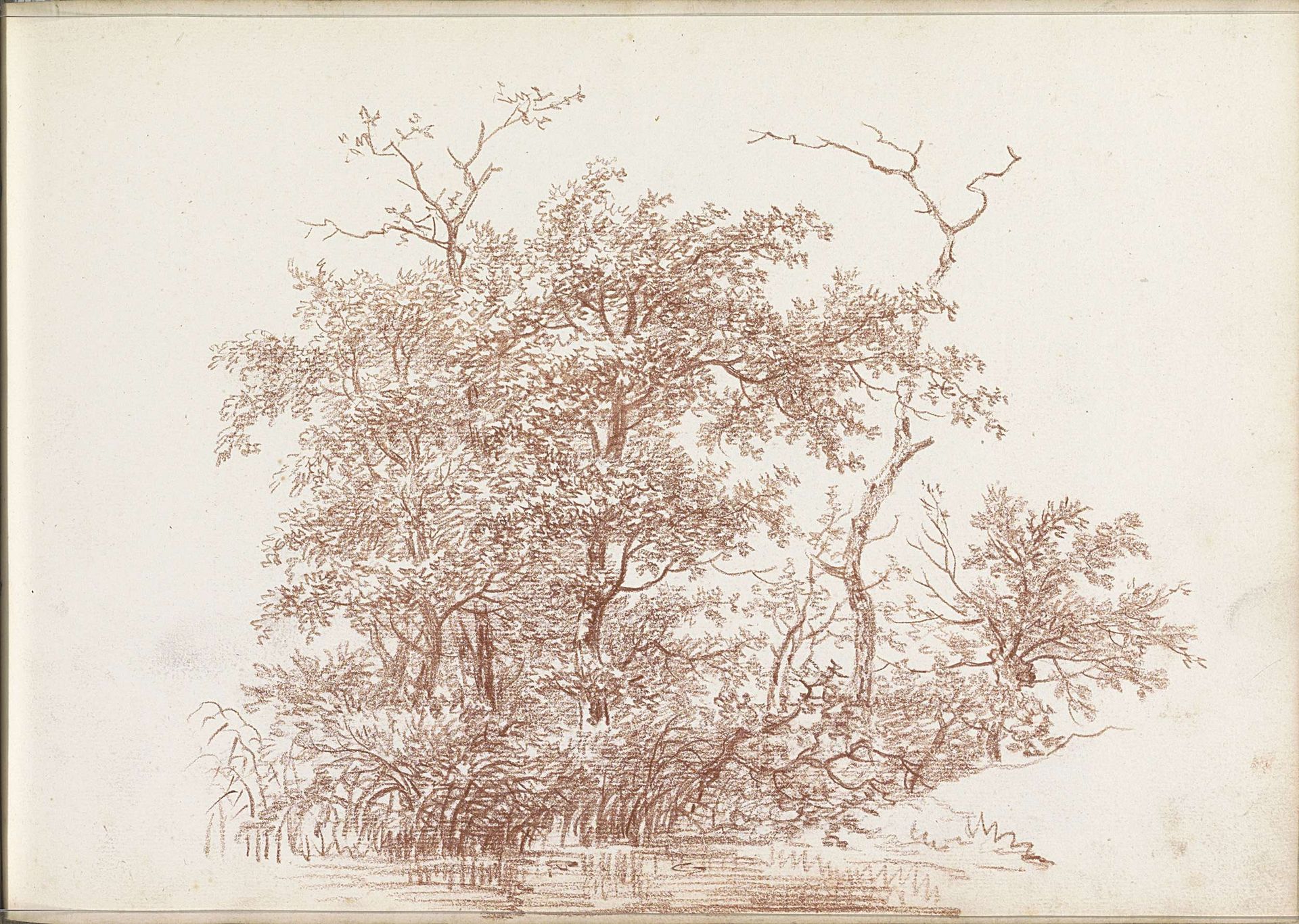 Bomen en struiken aan een waterkant by Andreas Schelfhout