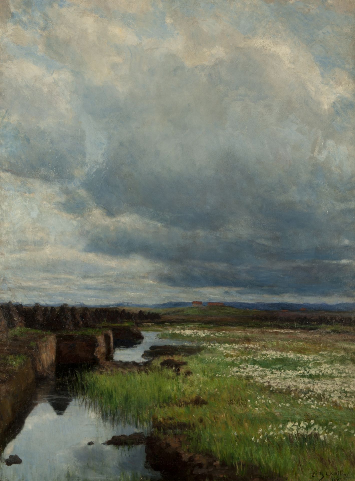 Torvmyr by Kitty Lange Kielland