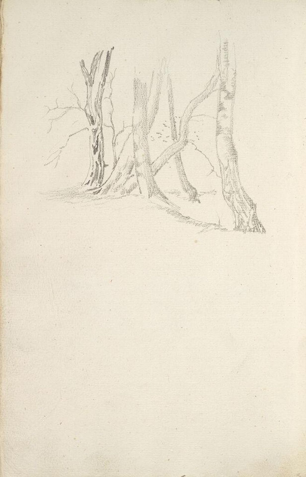 Blank; verso: Trees by Edward Burne-Jones