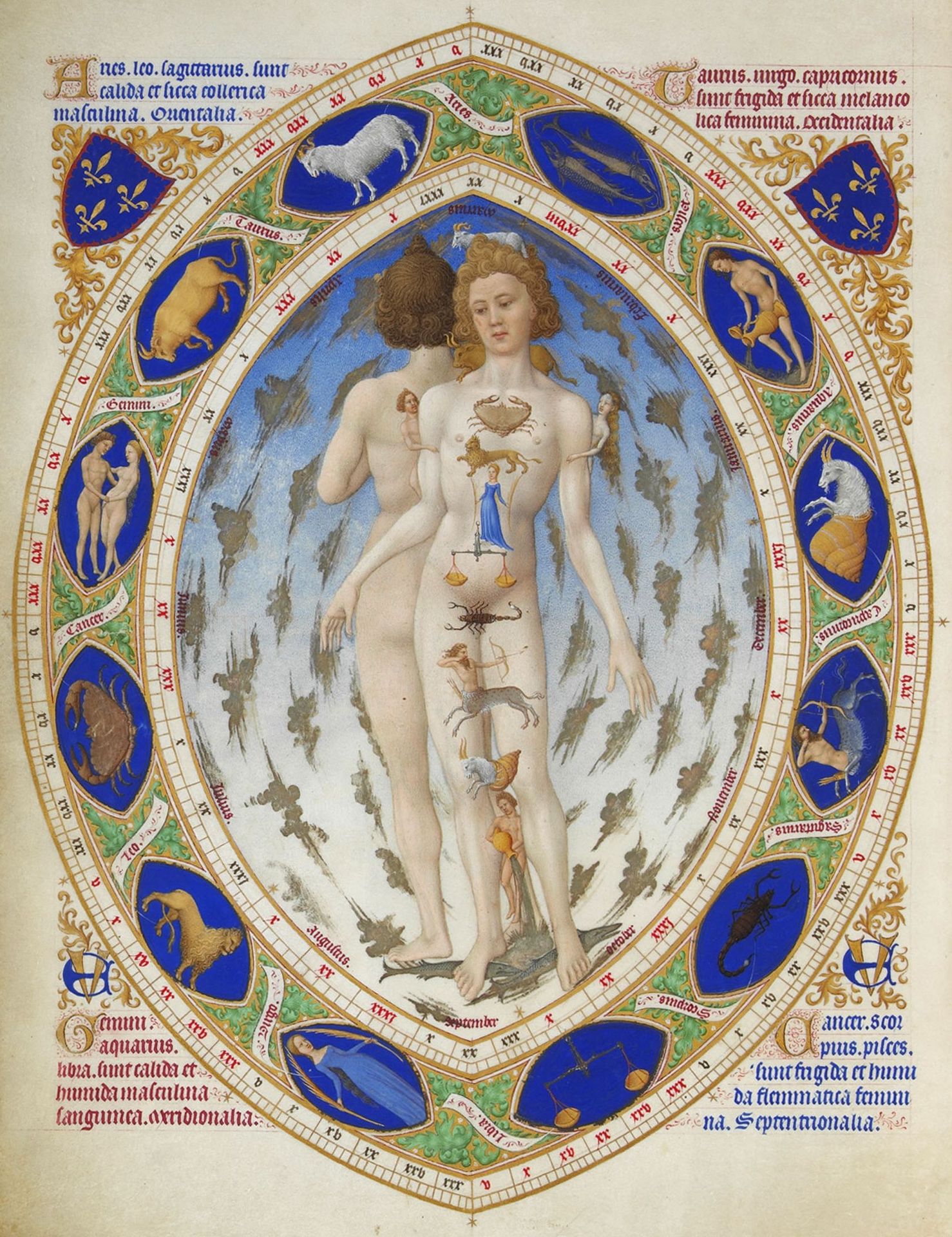 The Anatomy of Man by Limbourg brothers