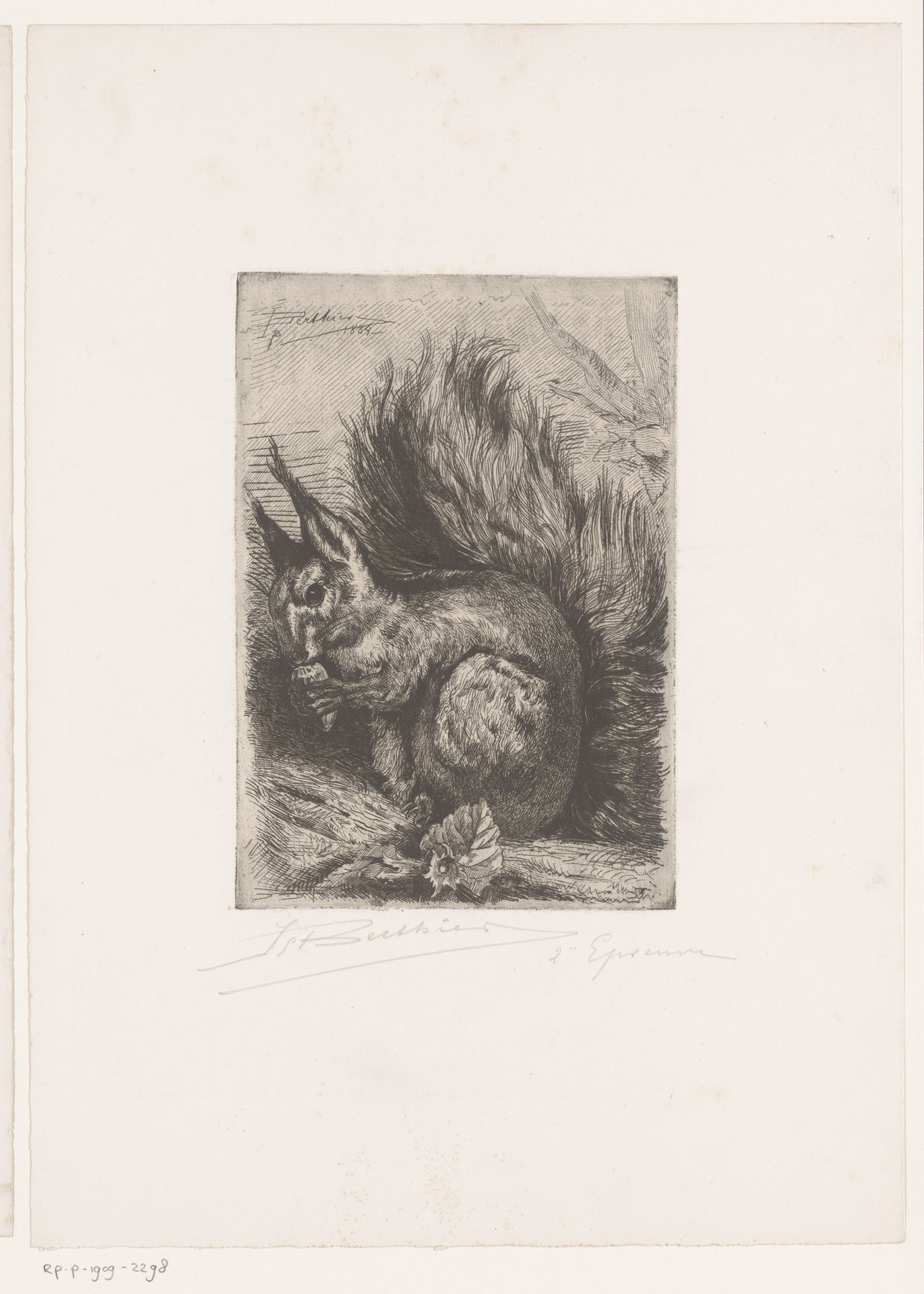 Eekhoorn met hazelnoot by H. Berthier