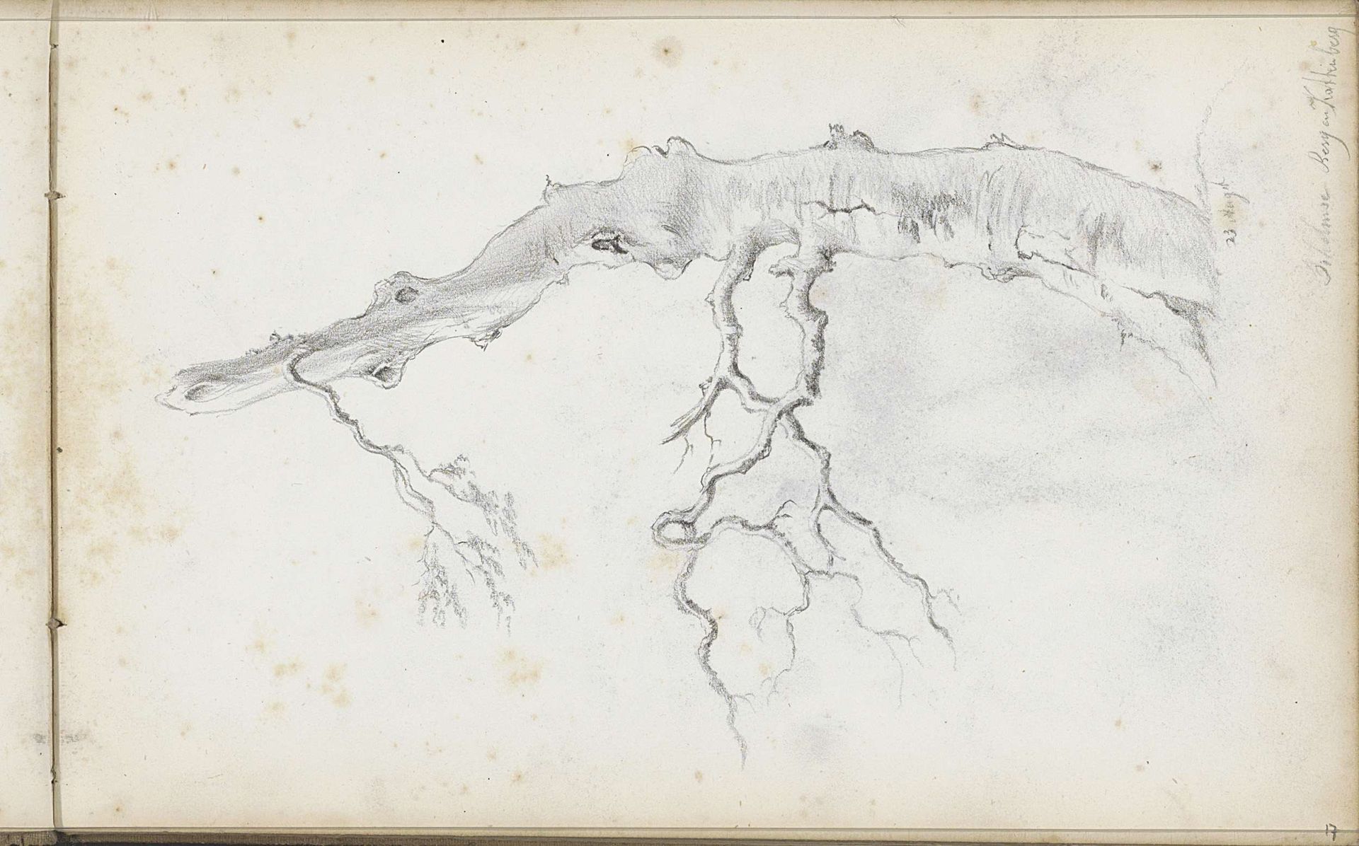 Boomstam op de weg tussen Schelm en Kattenberg by Willem Cornelis Rip