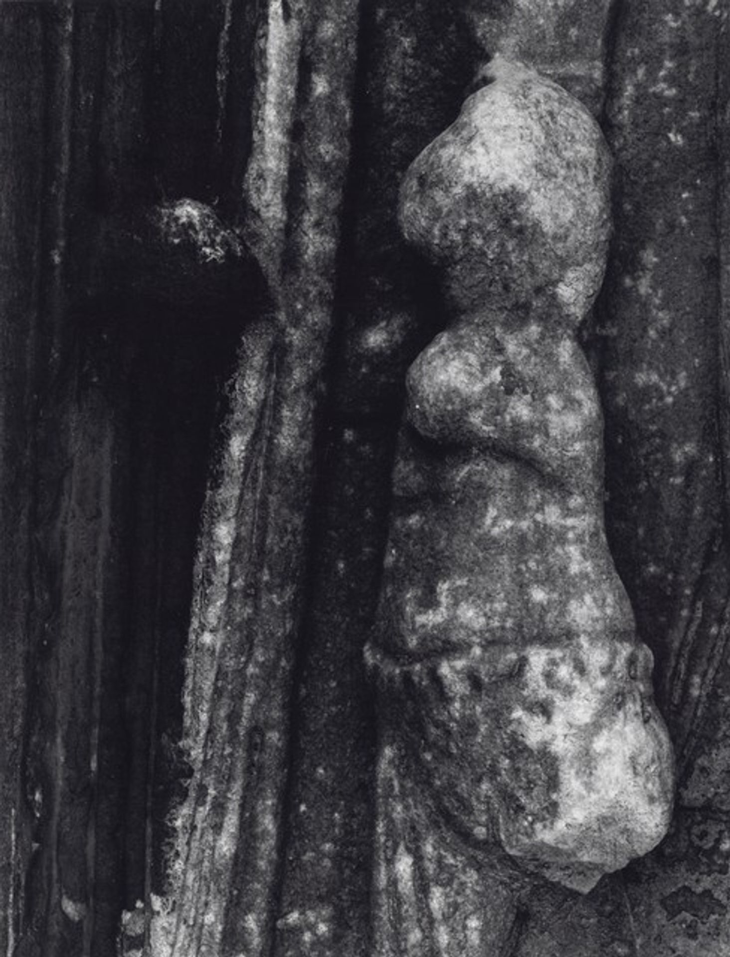 Rome:  Arch of Constantine 5 by Aaron Siskind