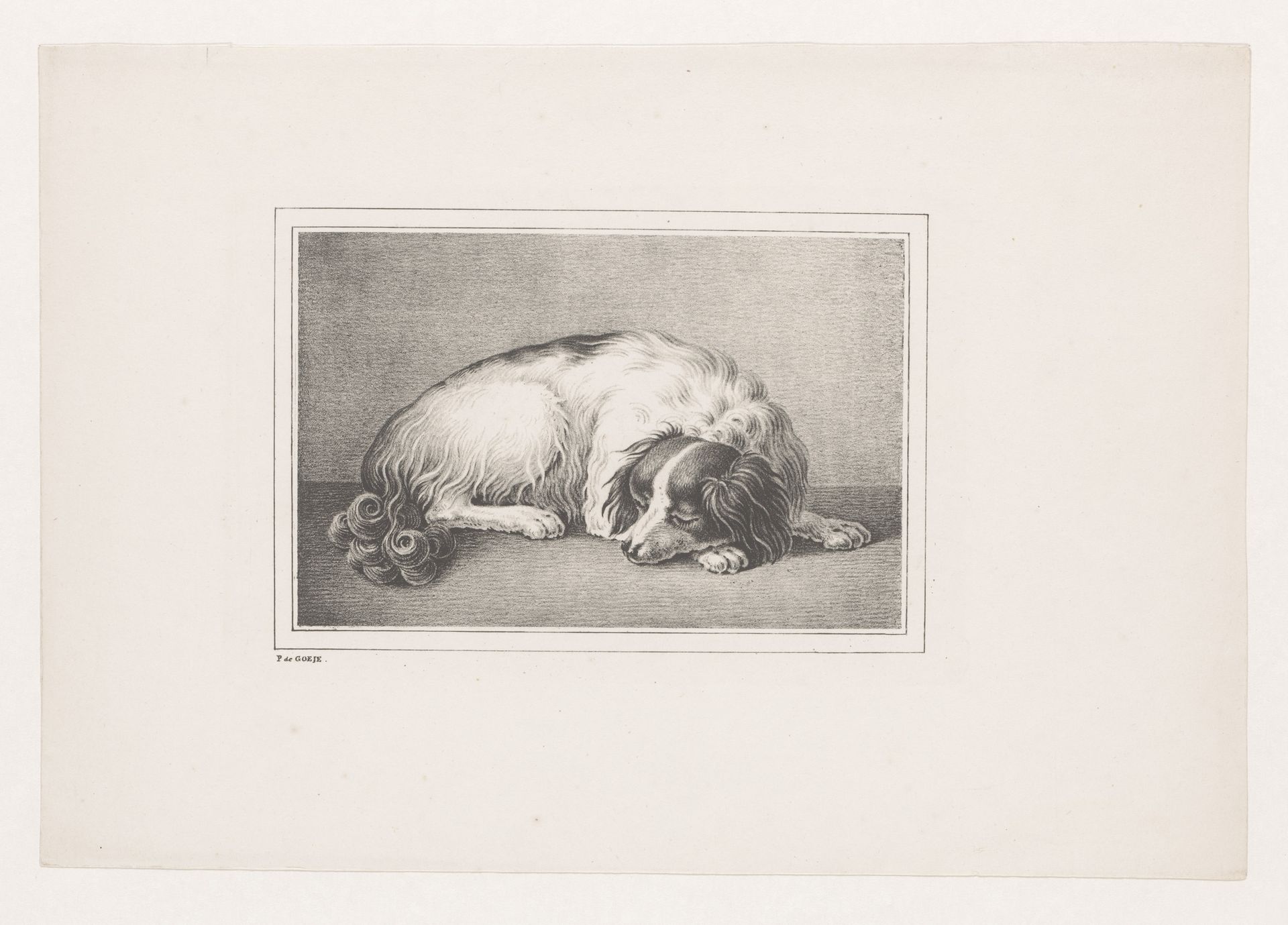 Slapende hond by Pieter de Goeje