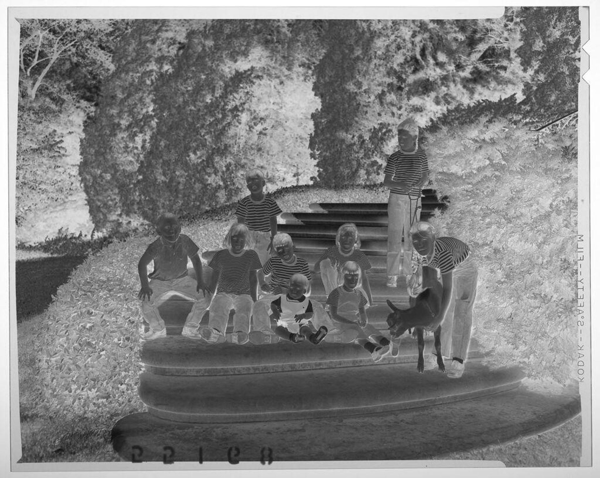 Untitled (nine children posed with goat on outdoor steps) by Martin Schweig