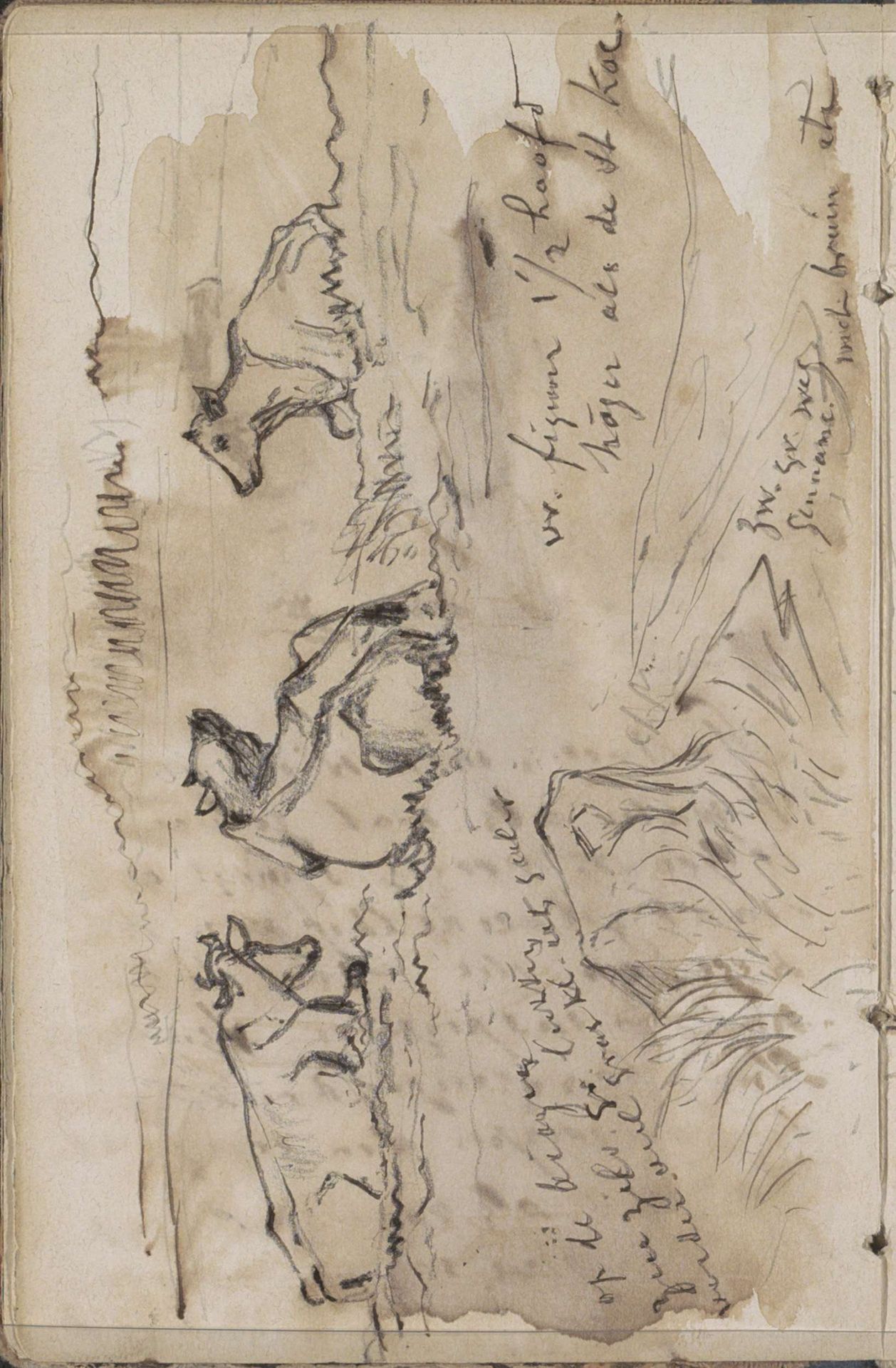 Liggende koeien in een weiland by Johannes Tavenraat