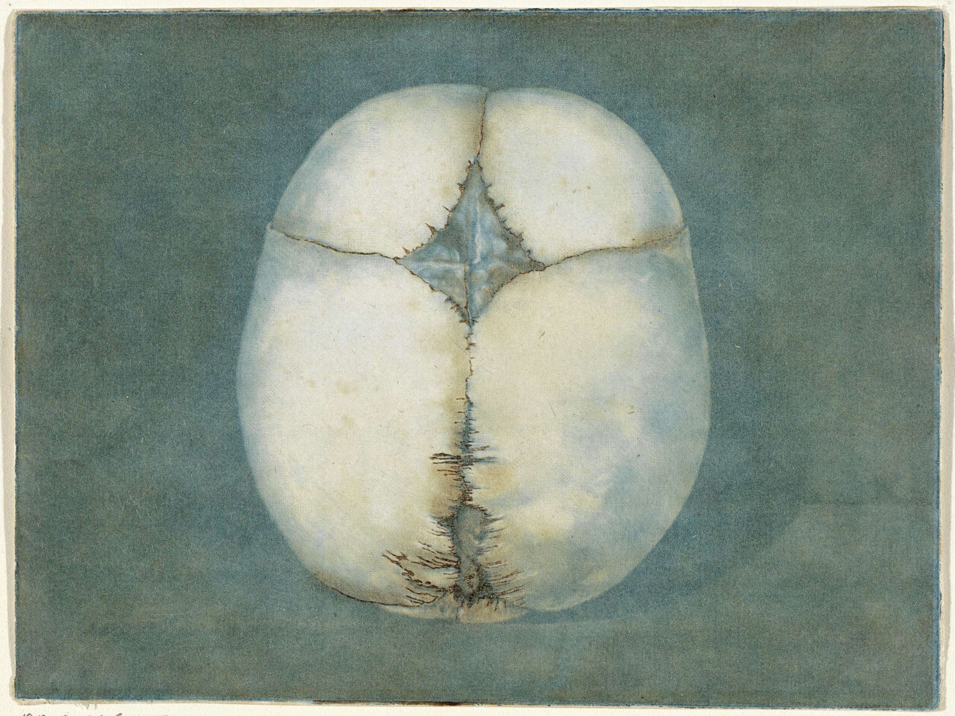 Prints of the Brain and the Heart by Jan l' Admiral
