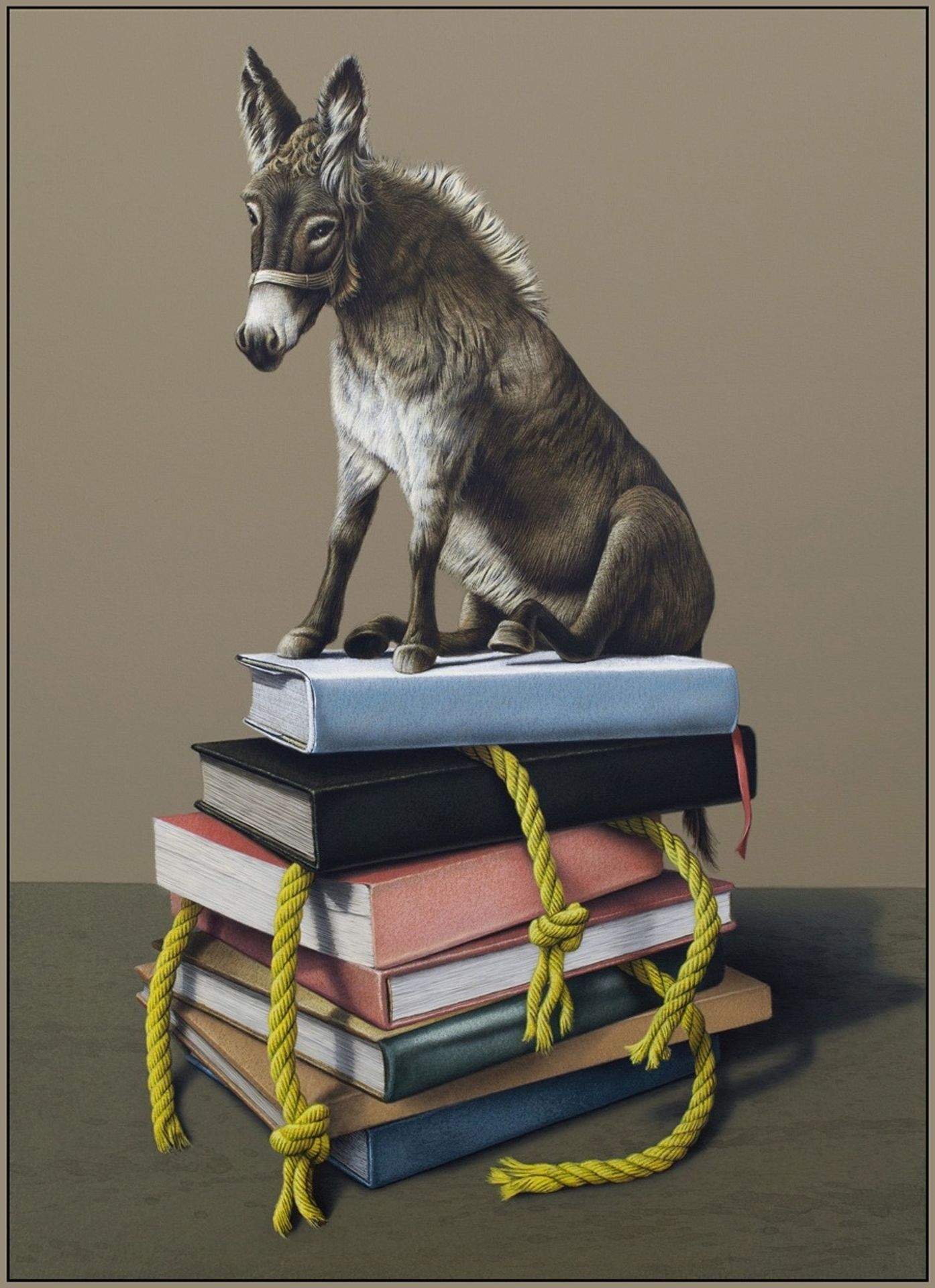 Donkey by Eckart Hahn