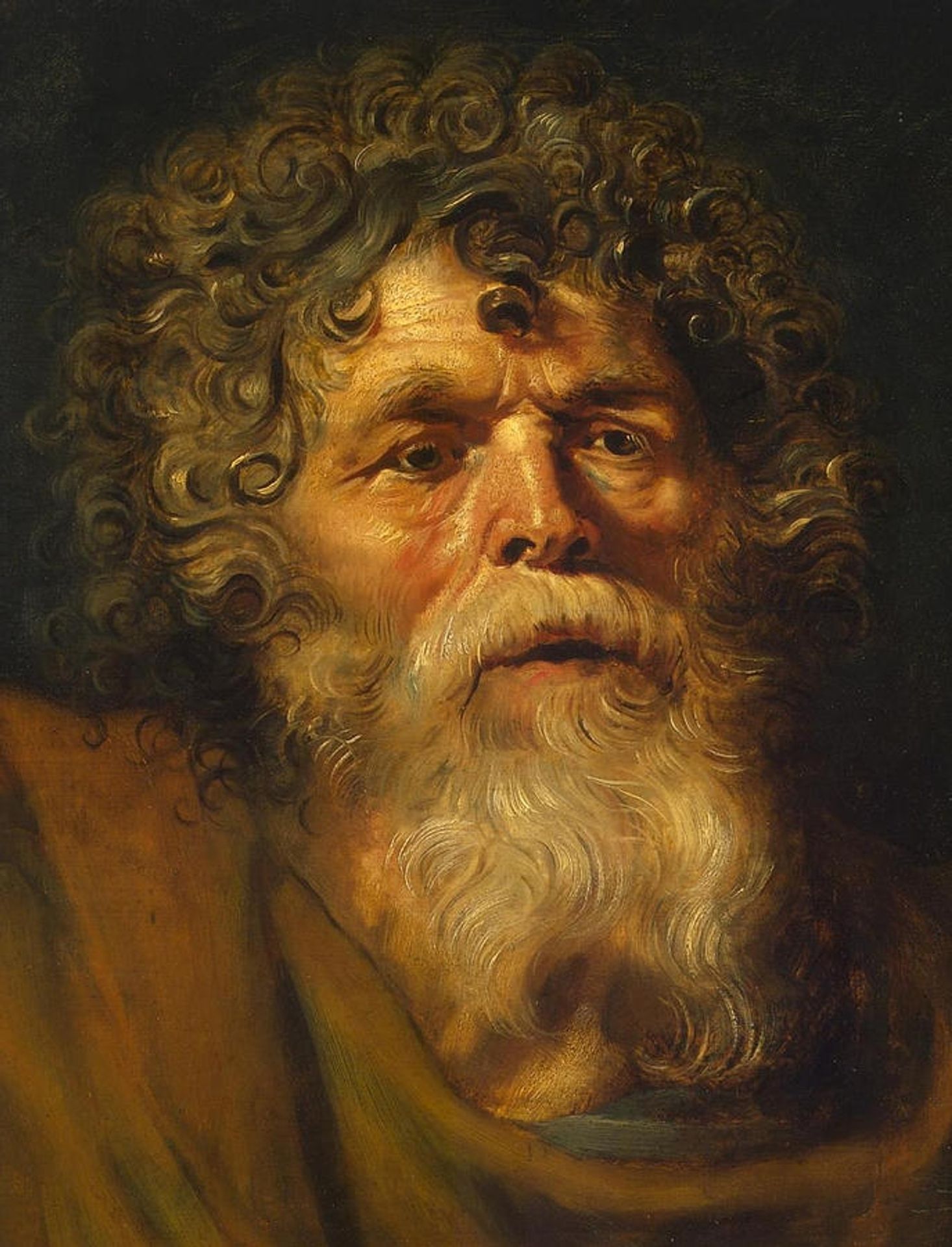 Head of An Old Man by Peter Paul Rubens