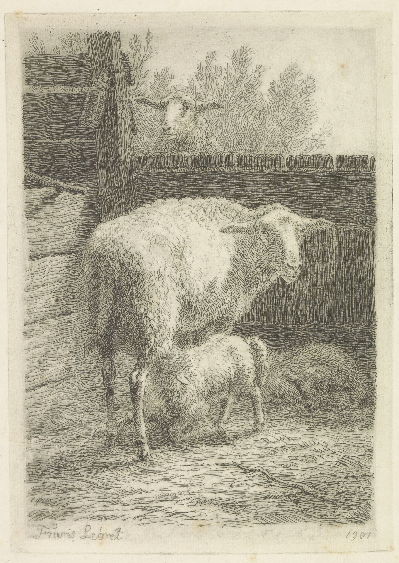 Schaap zoogt lam in een stal by Frans Lebret