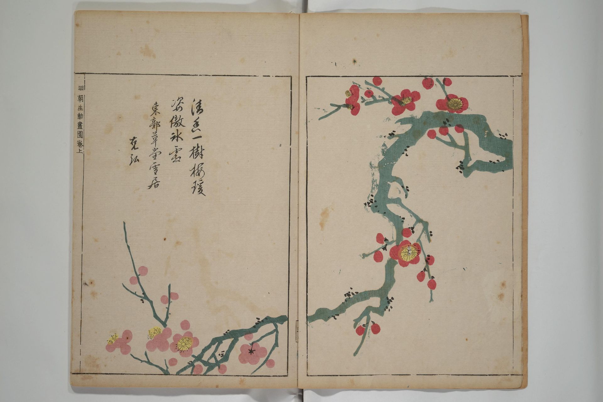 A Collection of Lively Sketches [Of Flowers and Insects] of the Ming dynasty by Ooka Shunboku