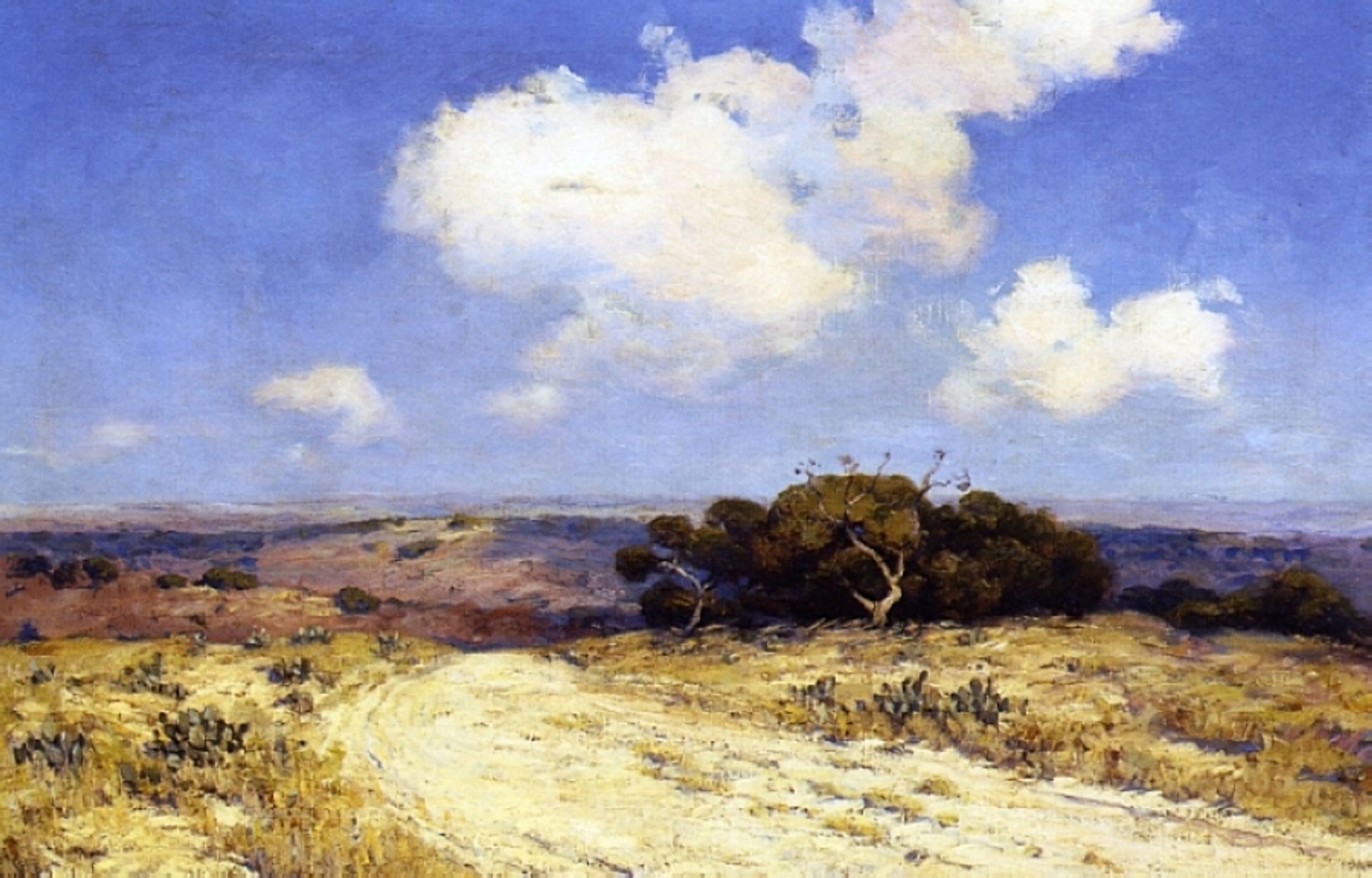Southwest Texas by Robert Julian Onderdonk