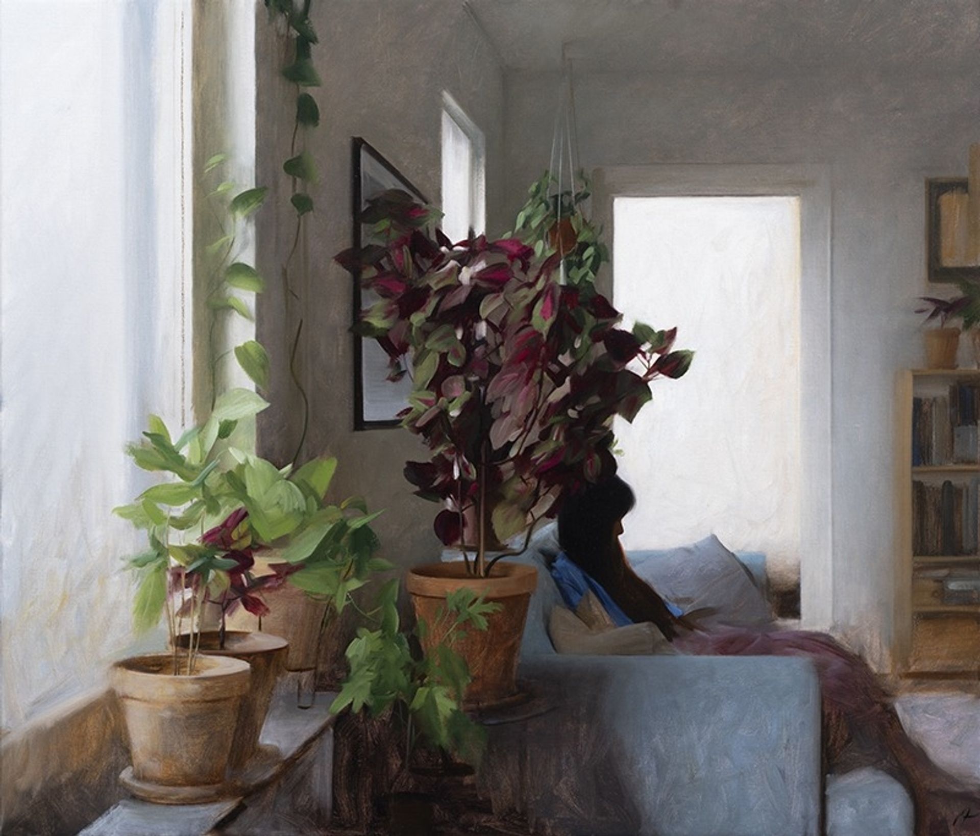 Window plants by Nick Alm