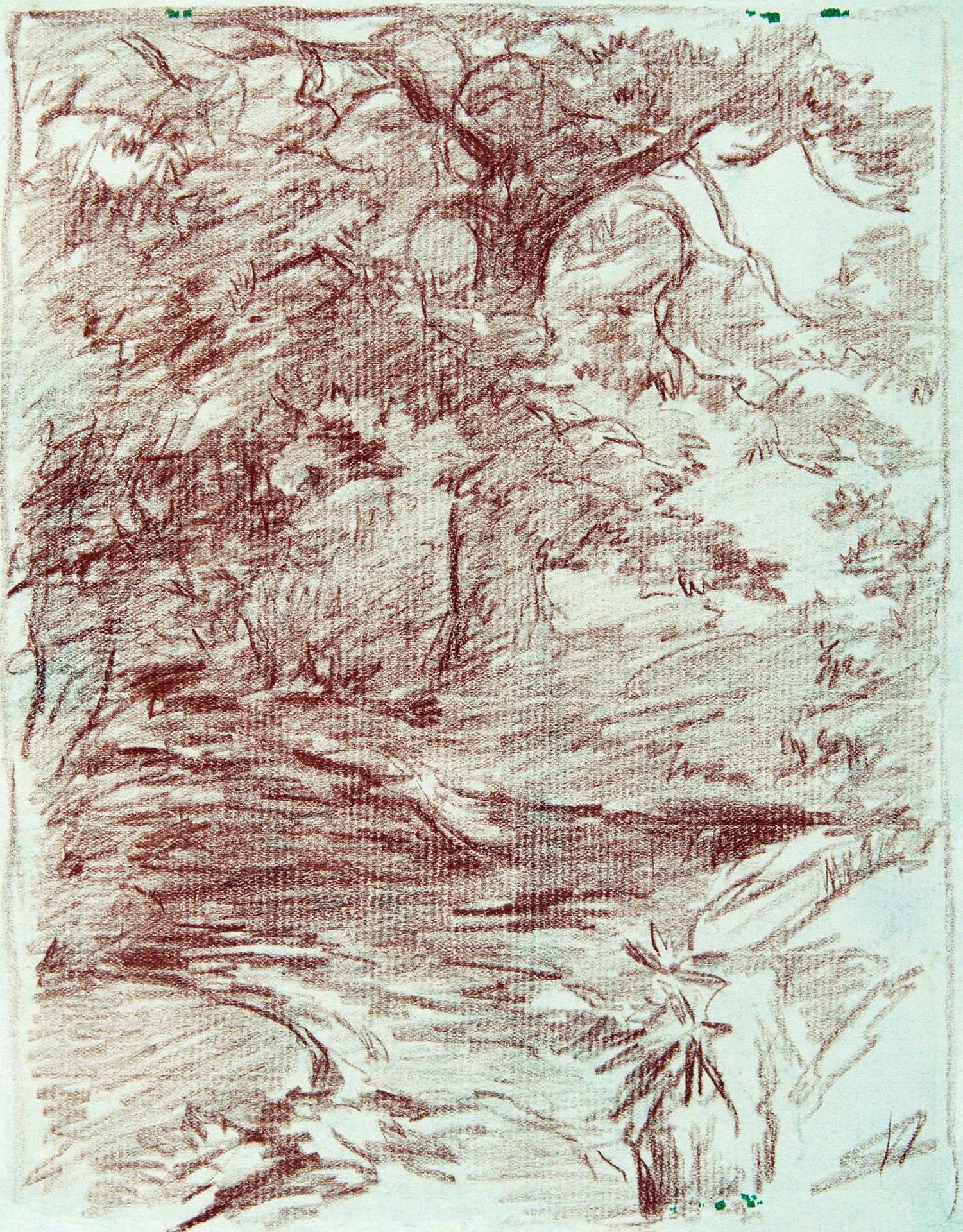 Tree Study by Walter Shirlaw