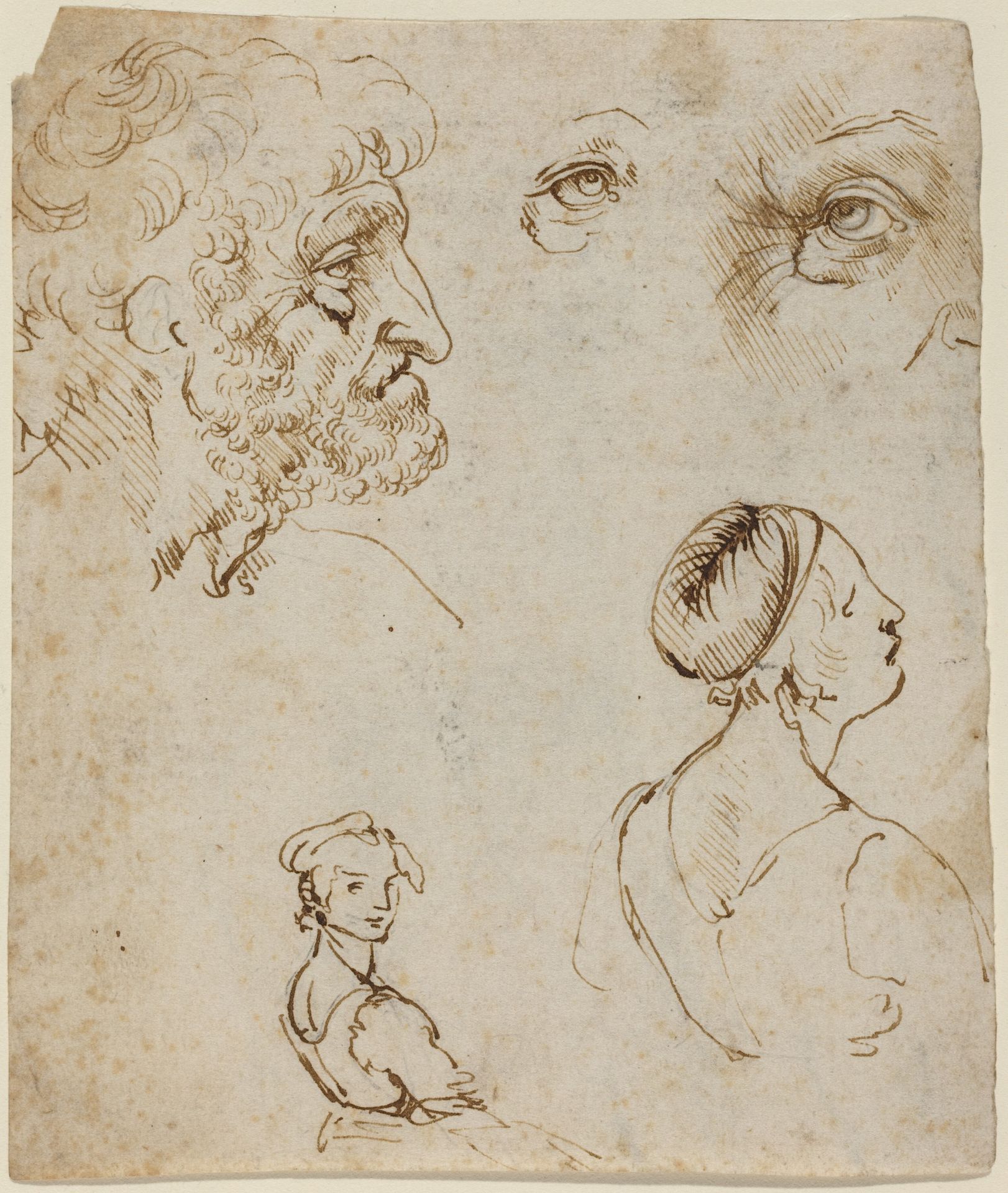 Sheet of Studies [recto] by Leonardo da Vinci